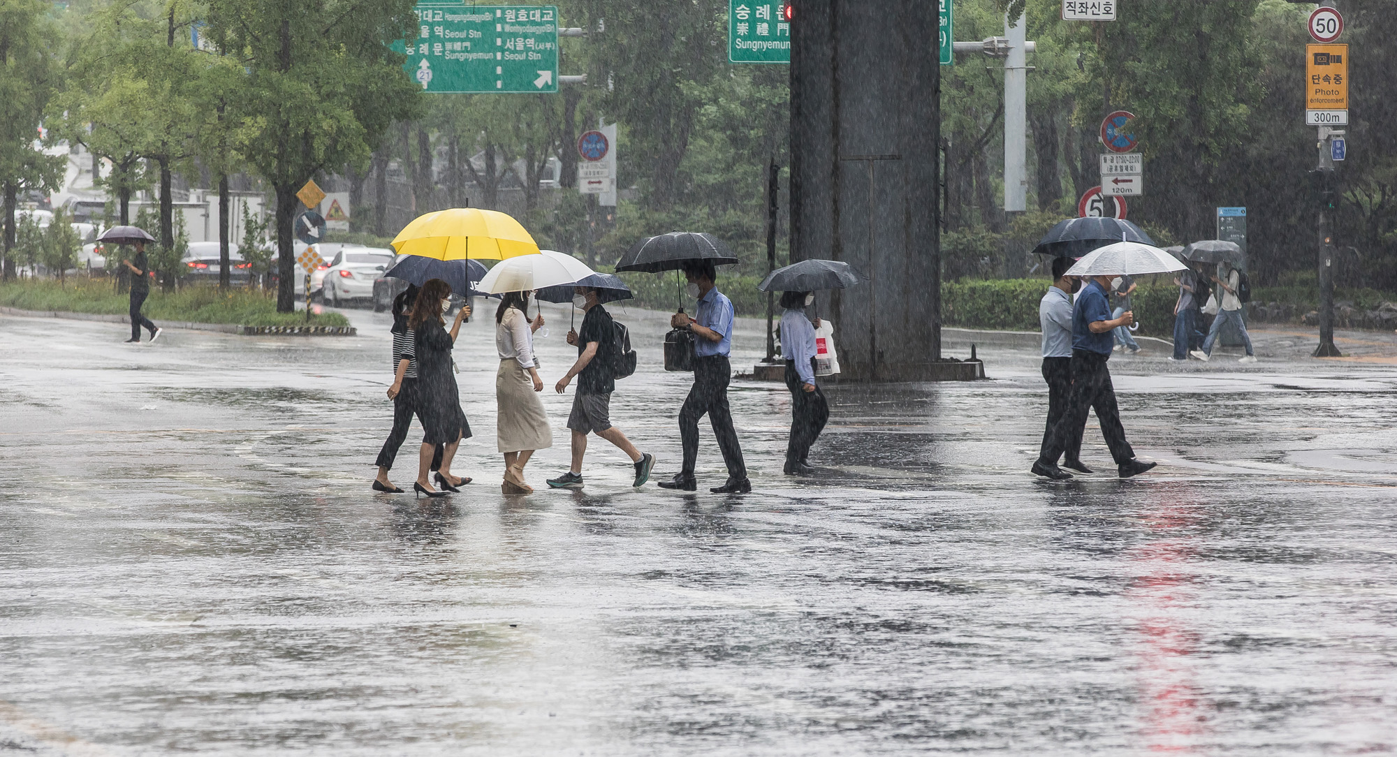 사회;세태;계절스케치;여름스케치;여름장마;호우경보;비스케치;장마스케치