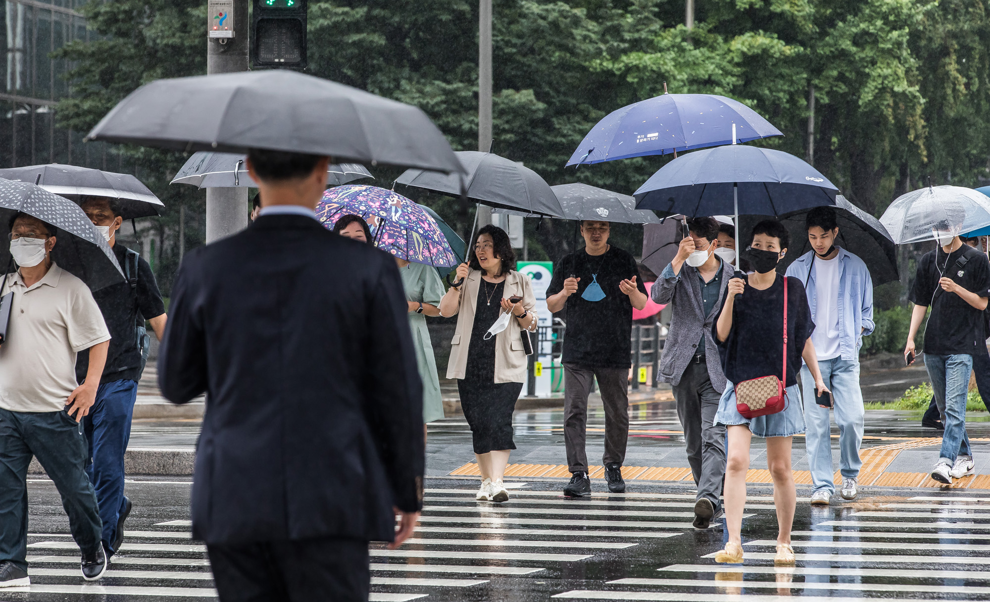 사회;세태;계절스케치;여름스케치;여름장마;호우경보;비스케치;장마스케치