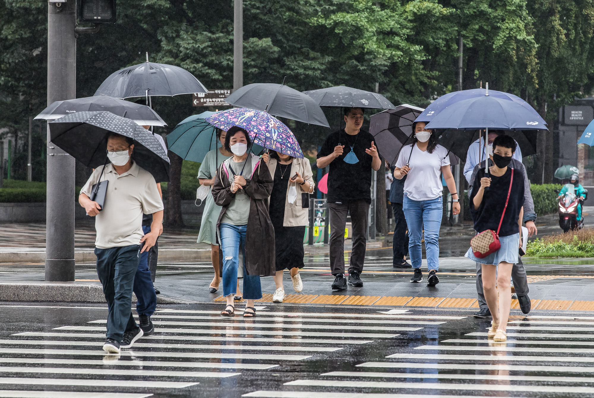 사회;세태;계절스케치;여름스케치;여름장마;호우경보;비스케치;장마스케치