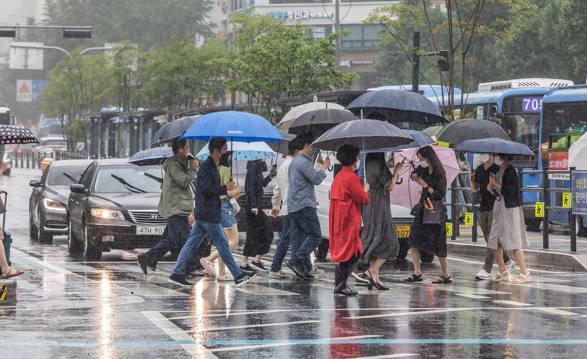 사회;세태;계절스케치;여름스케치;여름장마;호우경보;비스케치;장마스케치