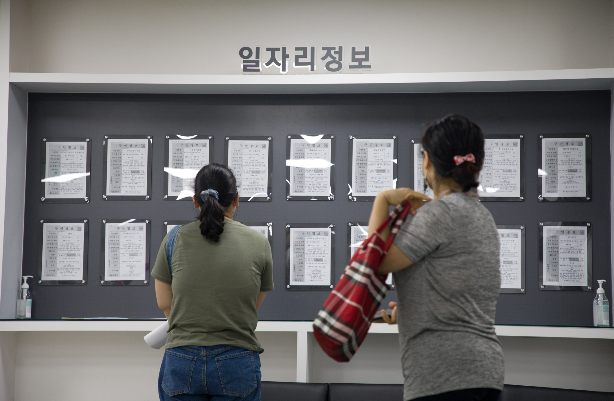 경제;고용복지플러스센터;마포;일자리정보;게시판;구직자