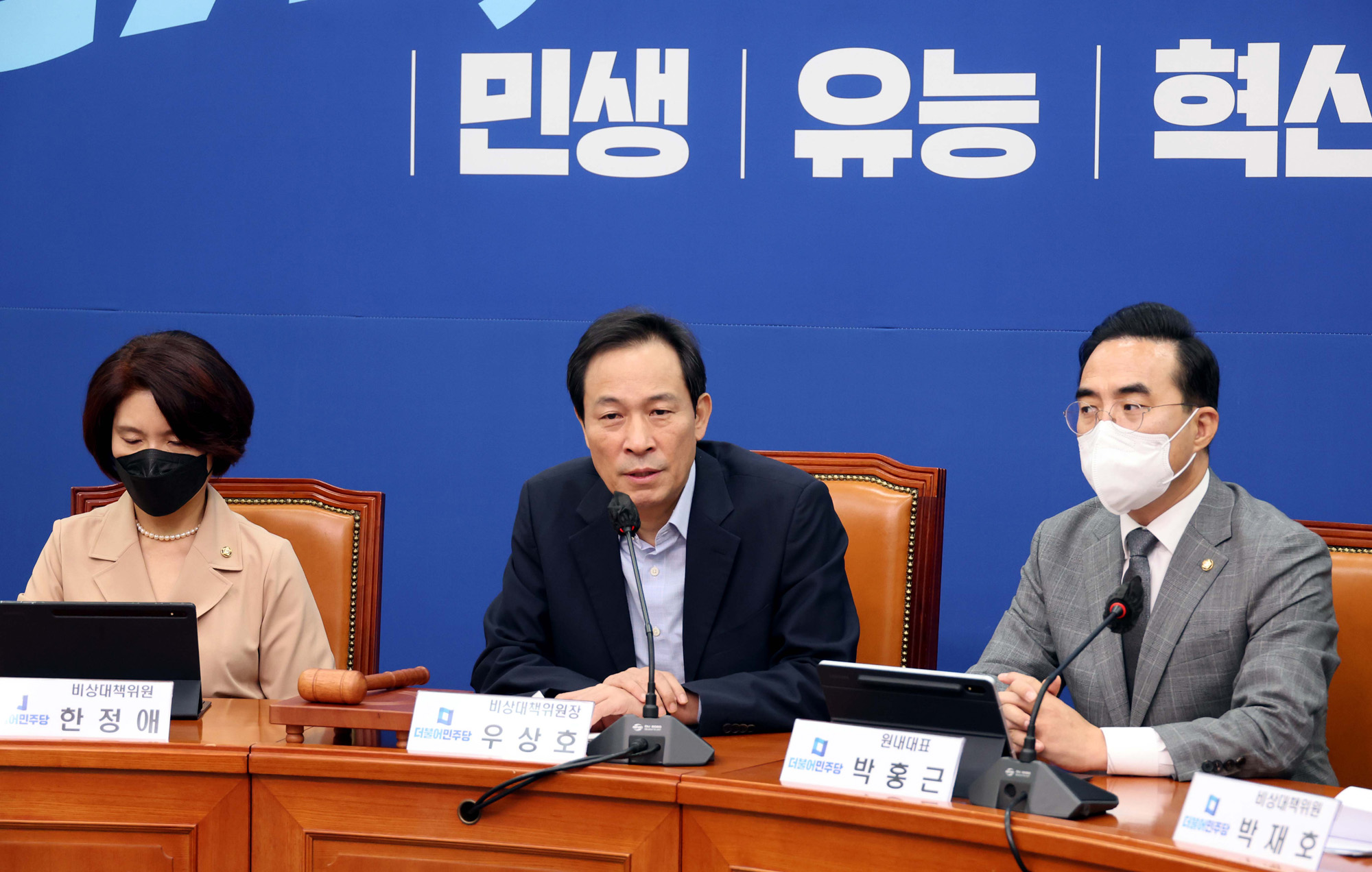 정치;정당;더불어민주당;비상대책위원회