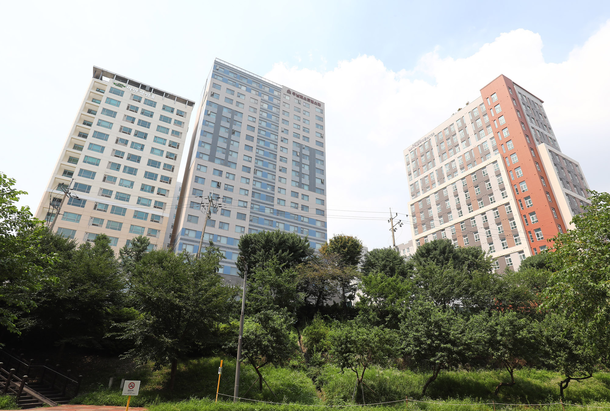 부동산;오피스텔;오피스텔전세;오피스텔전세사기