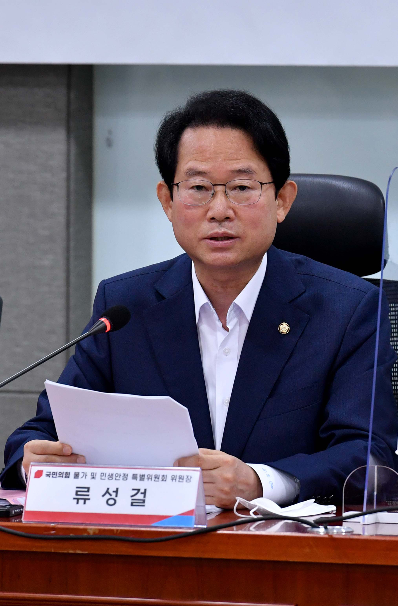 정치;국민의힘;물가 민생안정특위