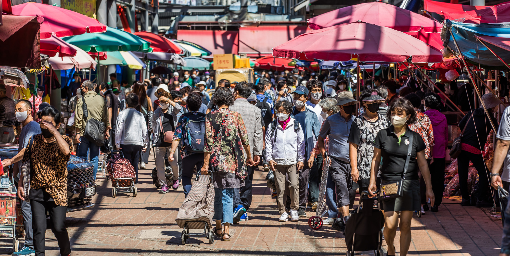 사회;세태;명절;추석;한가위;추석장보기;청량리종합시장;제수용품;추석물가