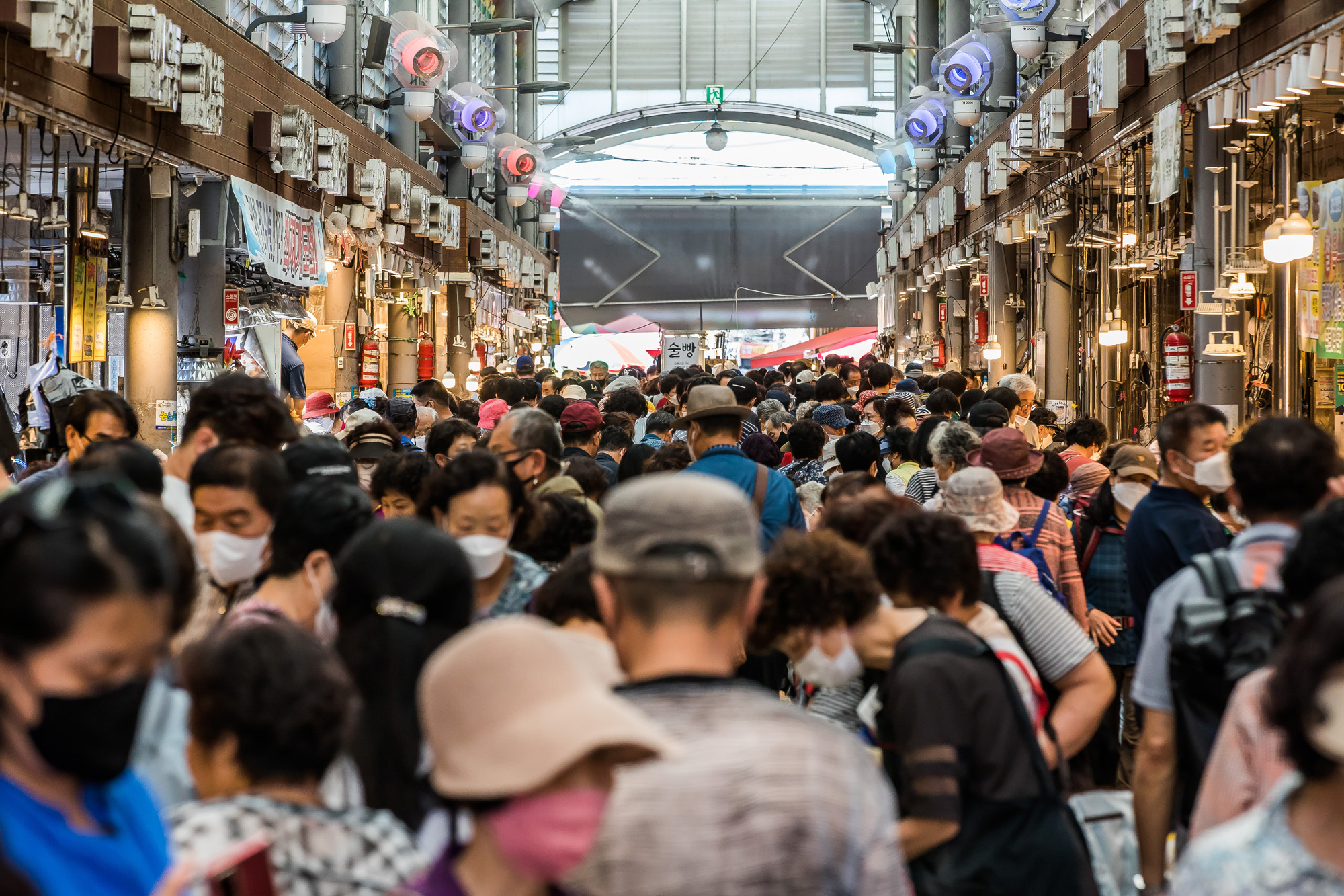 사회;세태;명절;추석;한가위;추석장보기;청량리종합시장;제수용품;추석물가