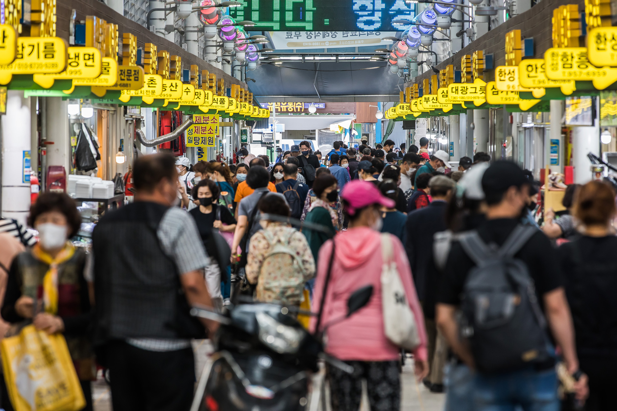 사회;세태;명절;추석;한가위;추석장보기;청량리종합시장;제수용품;추석물가