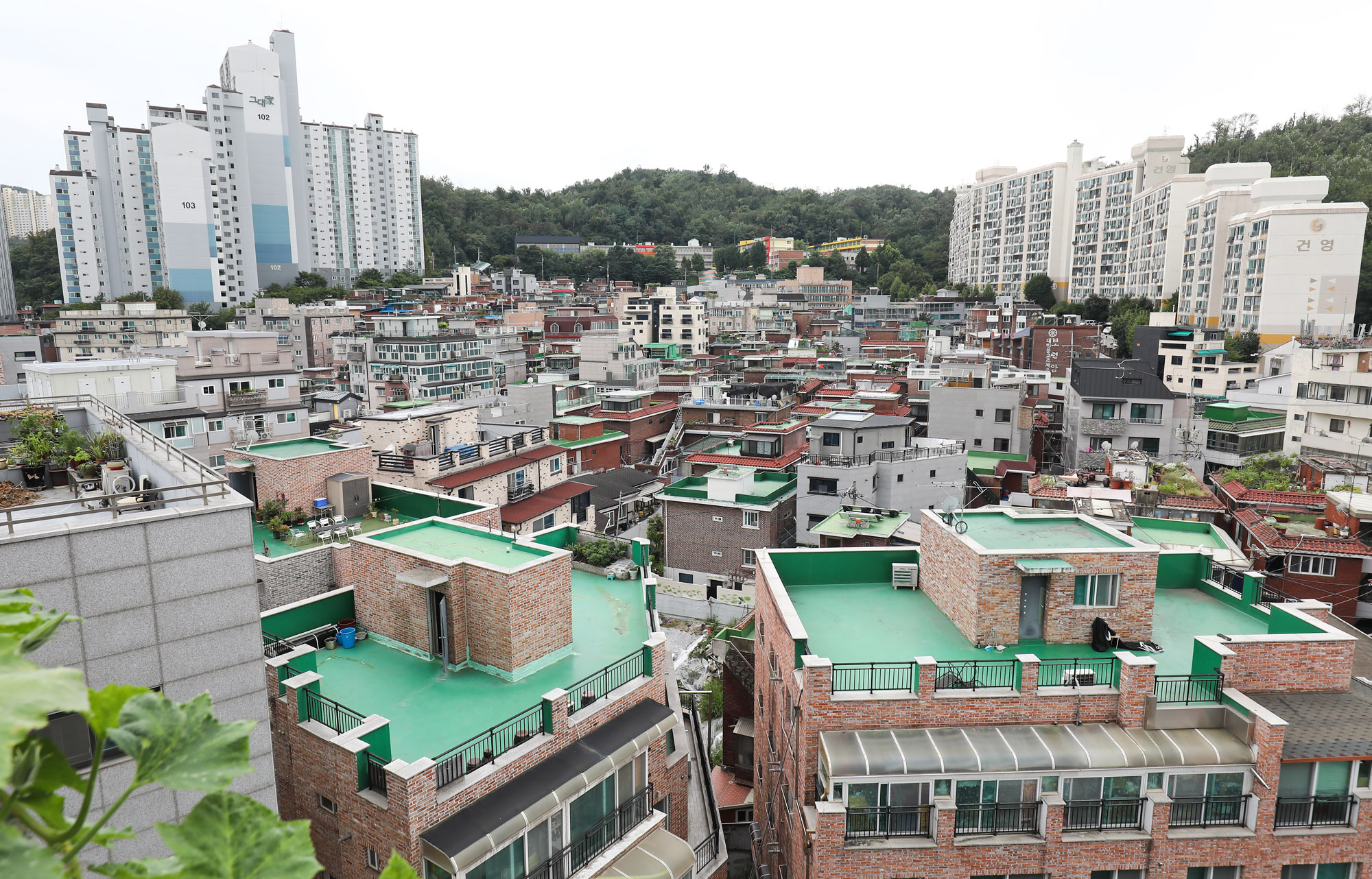 부동산;깡통전세;전세;월세;빌라;원룸