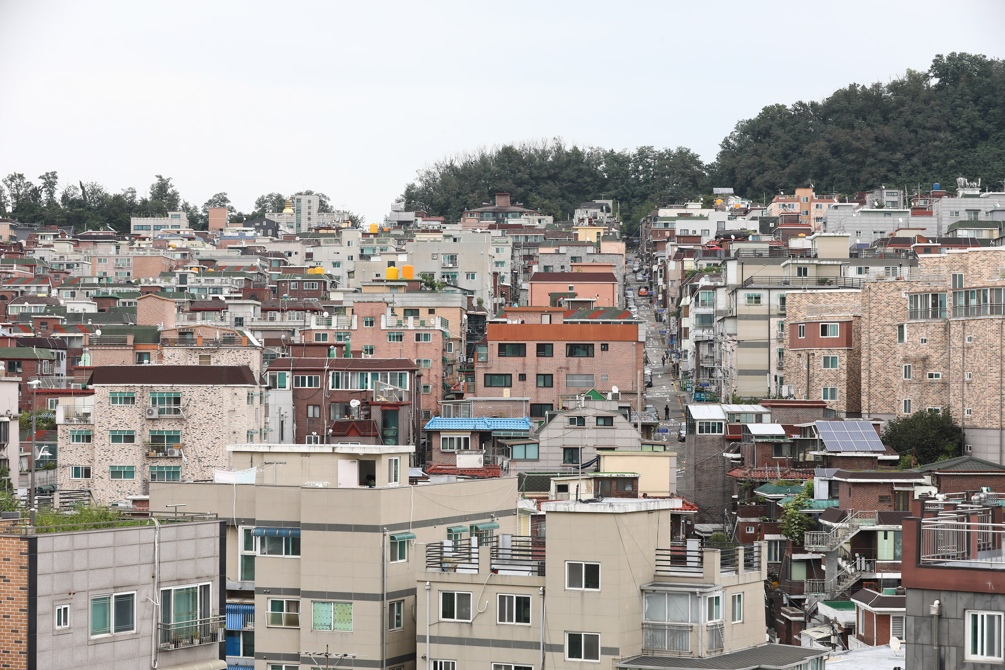 부동산;깡통전세;전세;월세;빌라;원룸