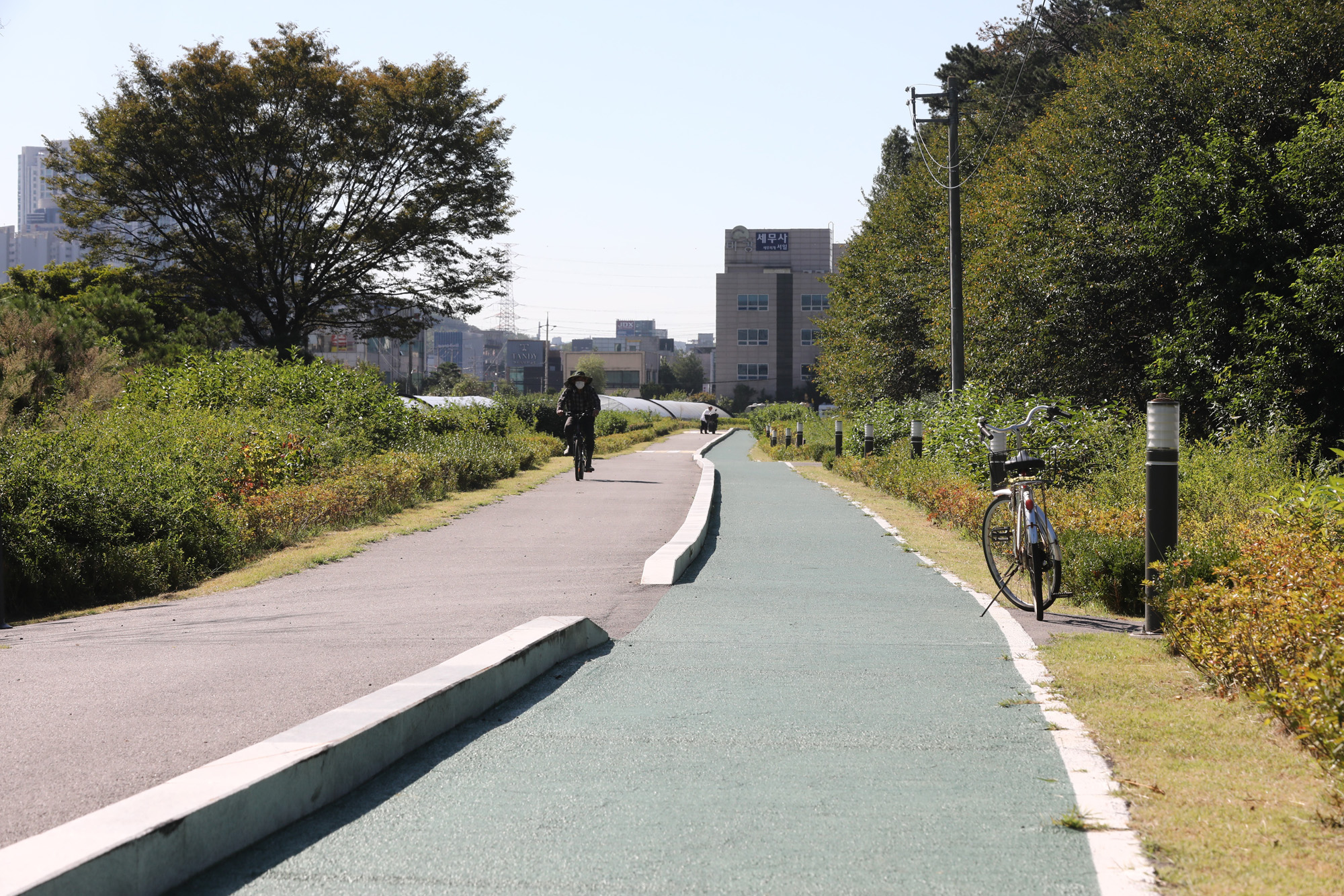 사회;궁내동산책길;김원웅;분당궁내동꽃길;궁내로7번길