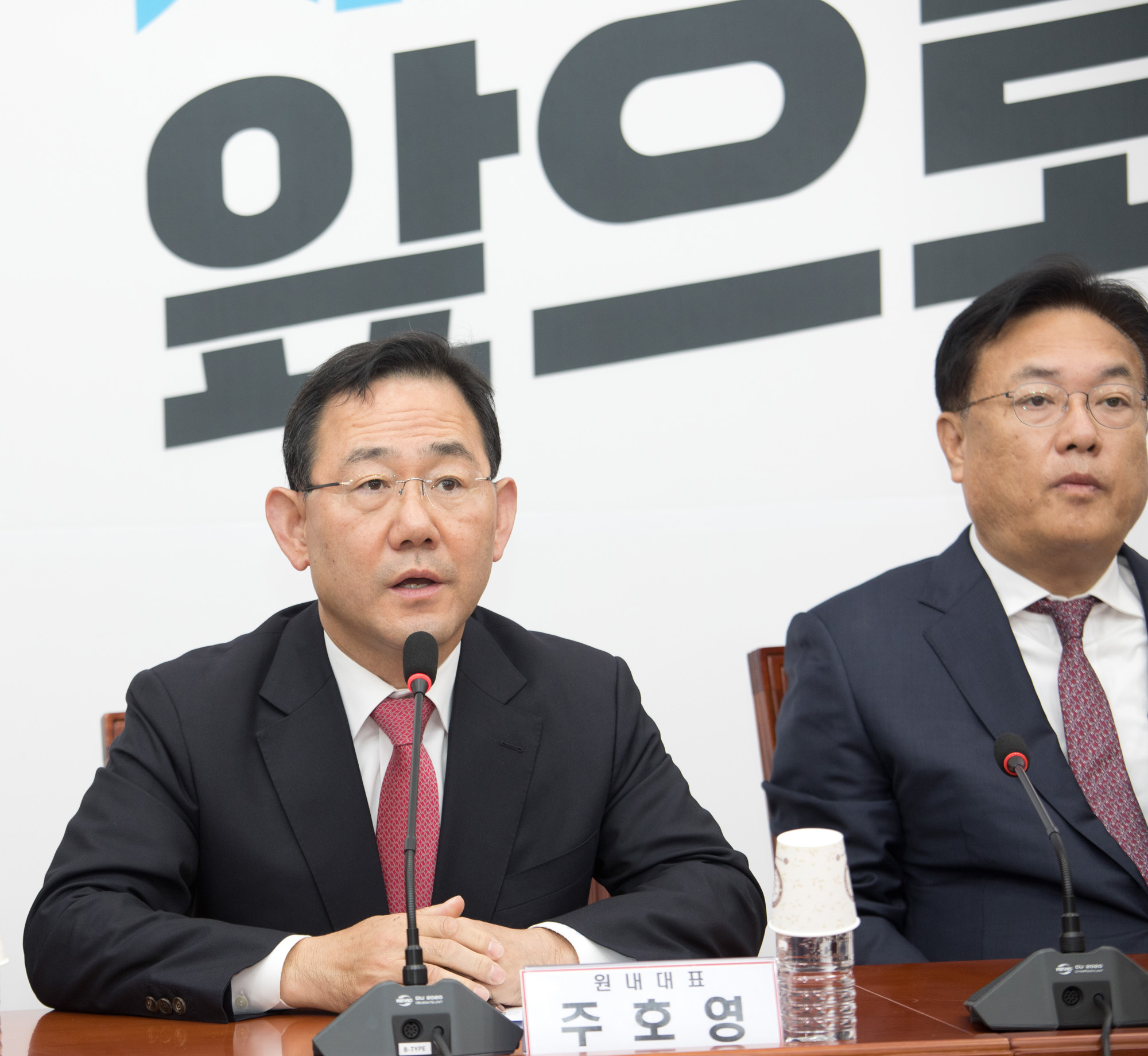 정치;국민의힘;비상대책위원회의