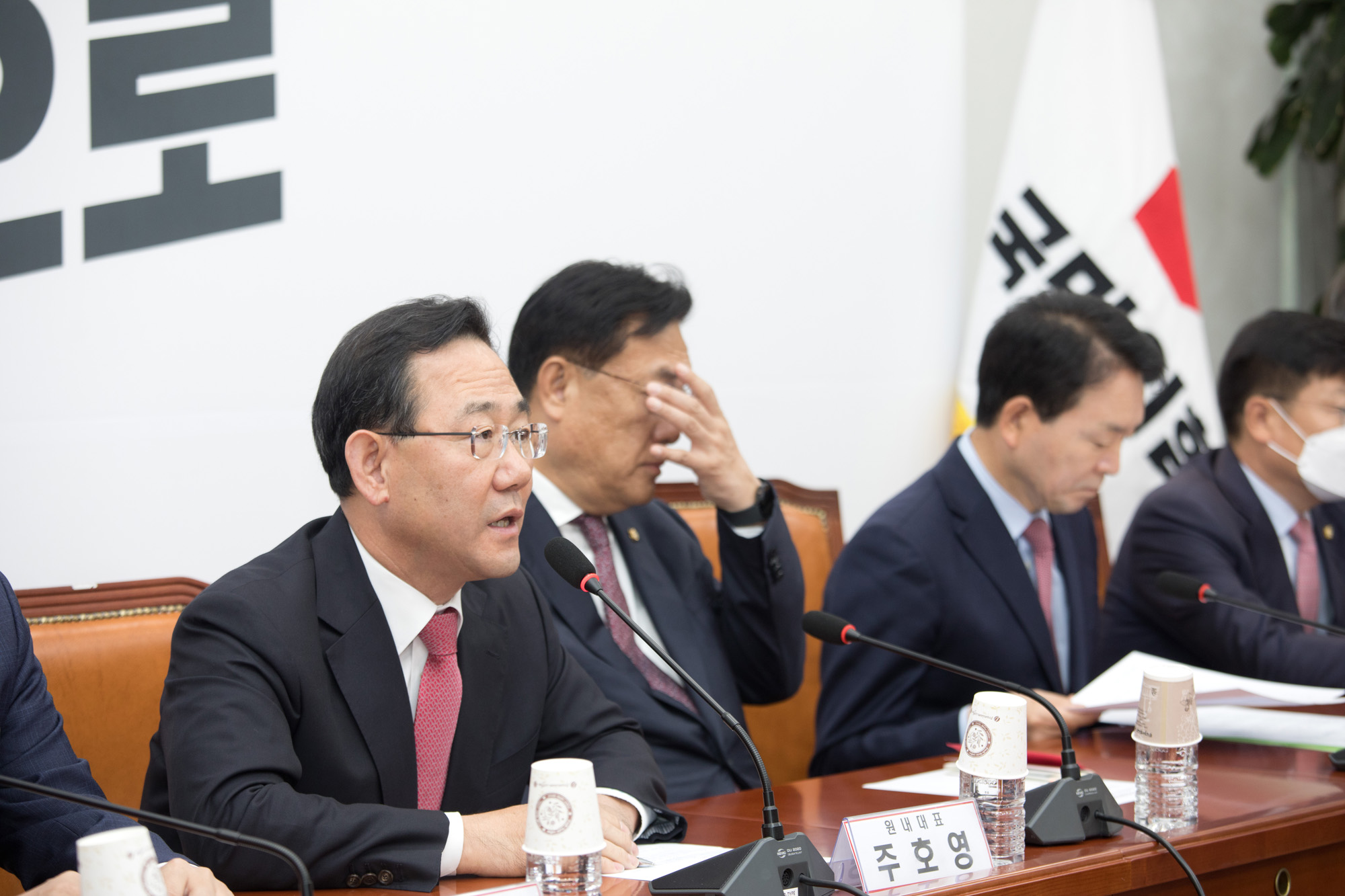 정치;국민의힘;비상대책위원회의