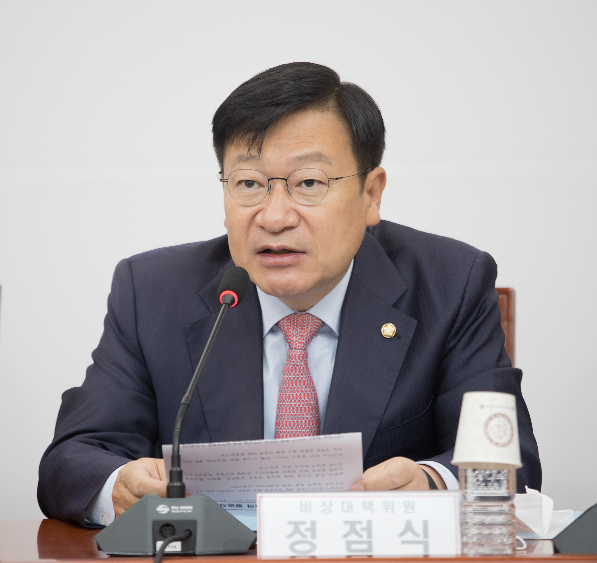 정치;국민의힘;비상대책위원회의