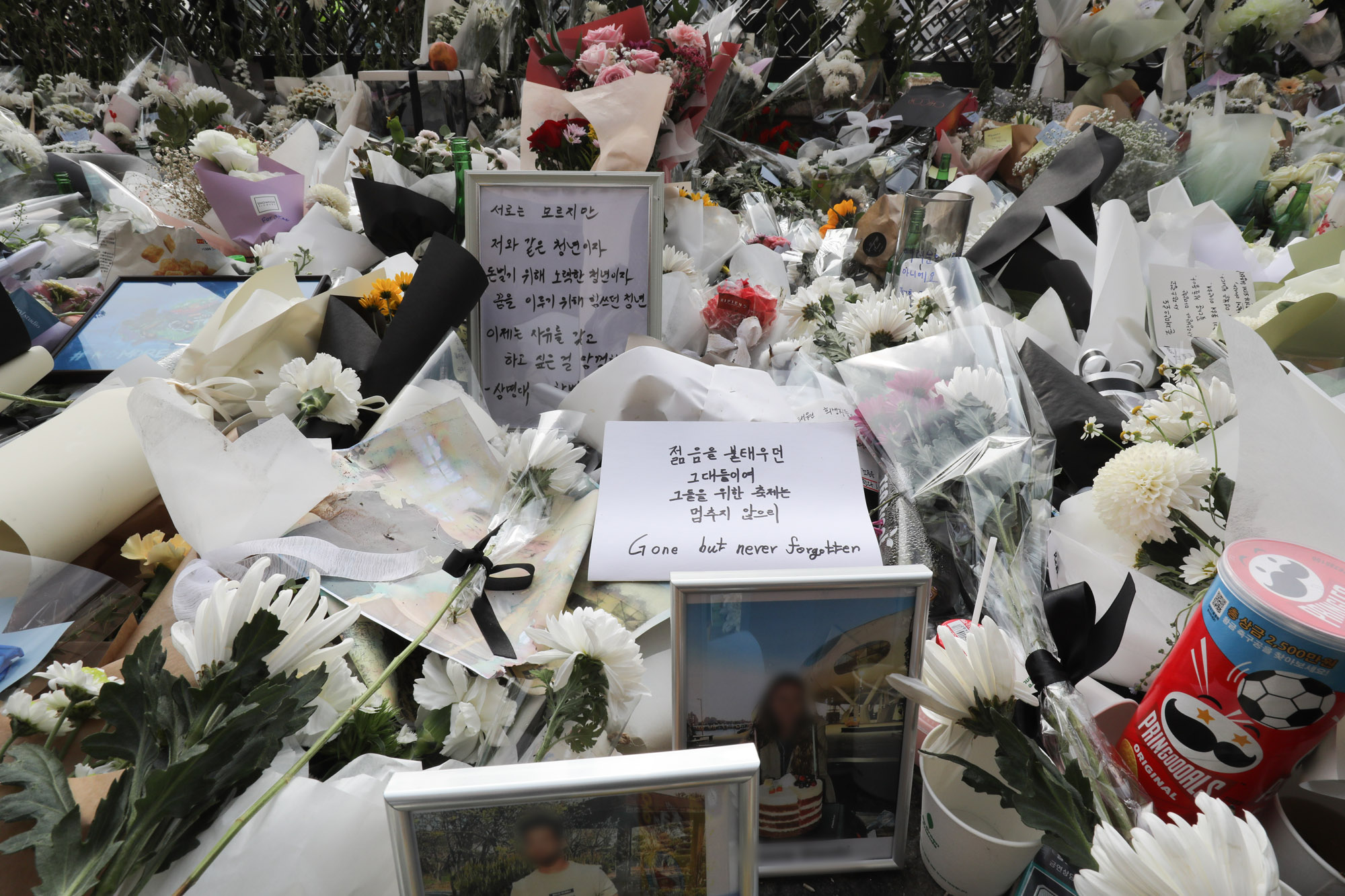 핼러윈;할로윈;이태원참사;이태원압사합사;이태원추모;핼러윈추모