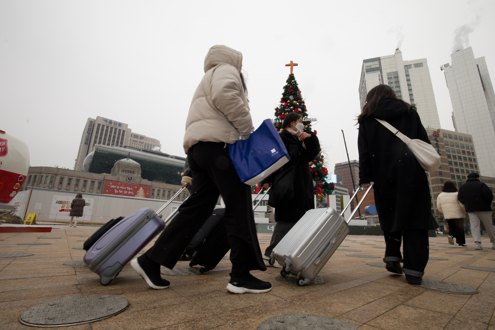 사회;크리스마스트리;서울광장;눈