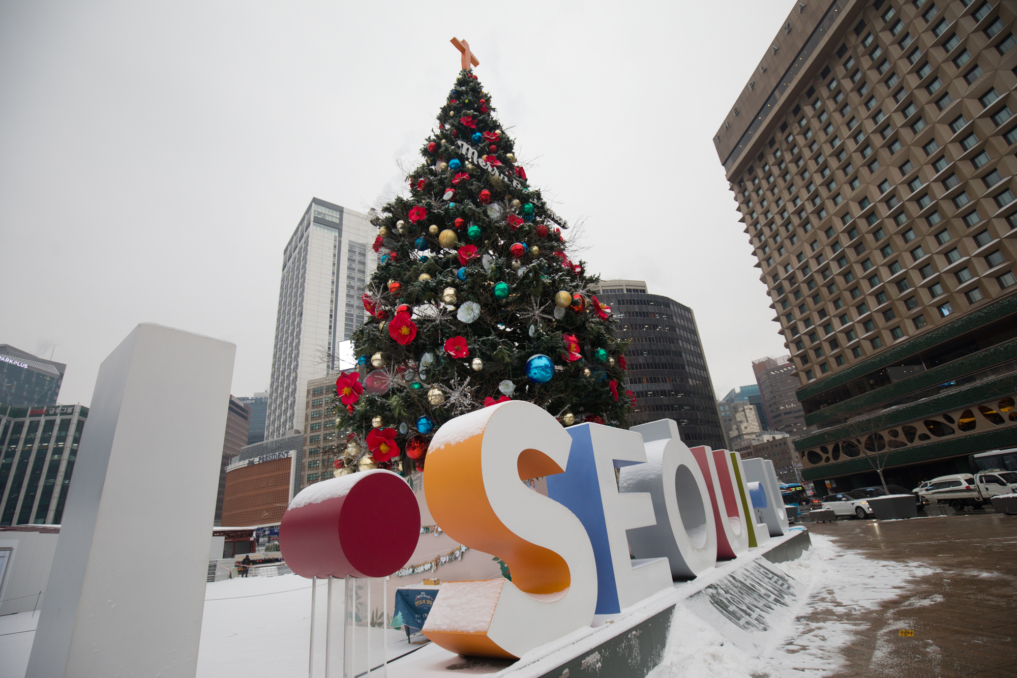 사회;크리스마스트리;서울광장;눈