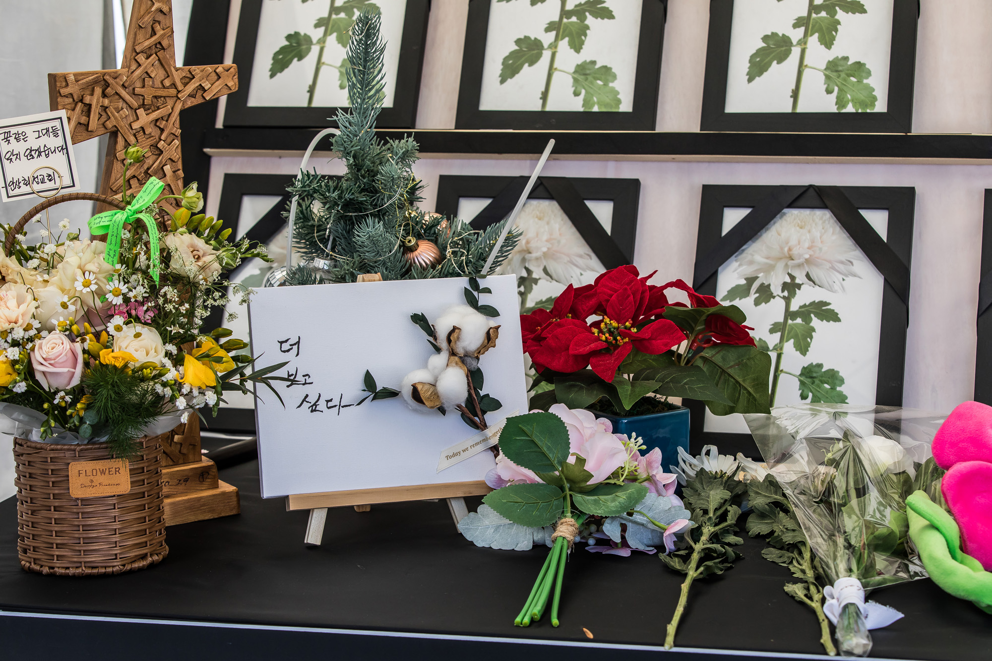 사회;사건사고;인명사고;사망사고;이태원참사;이태원핼러윈참사;10.29이태원사망사고;이태원참사합동분향소