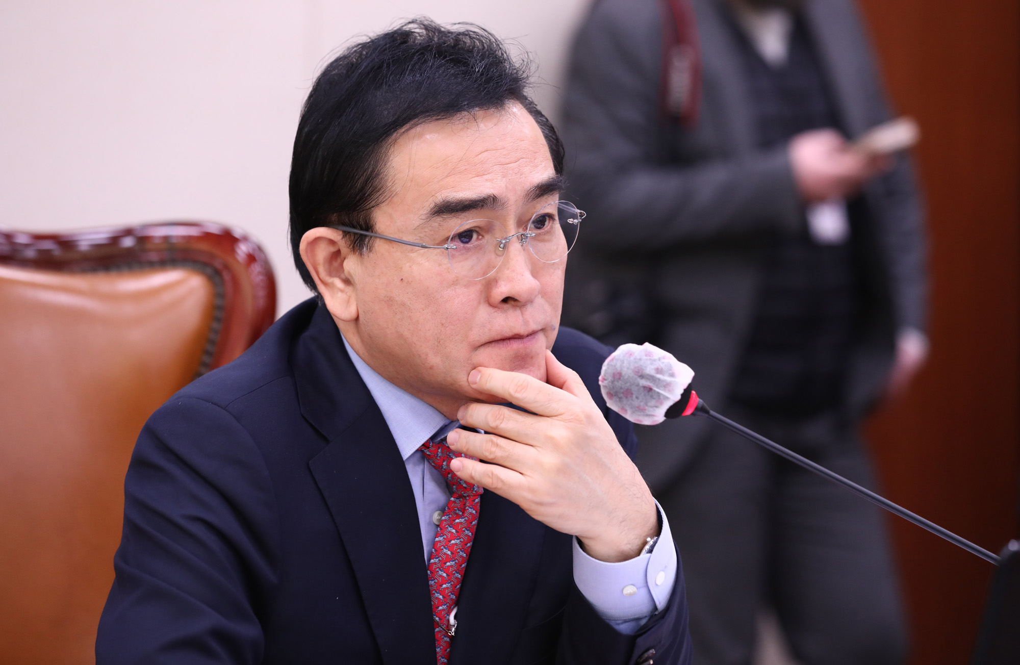 정치;국회;외교통일위원회;태영호