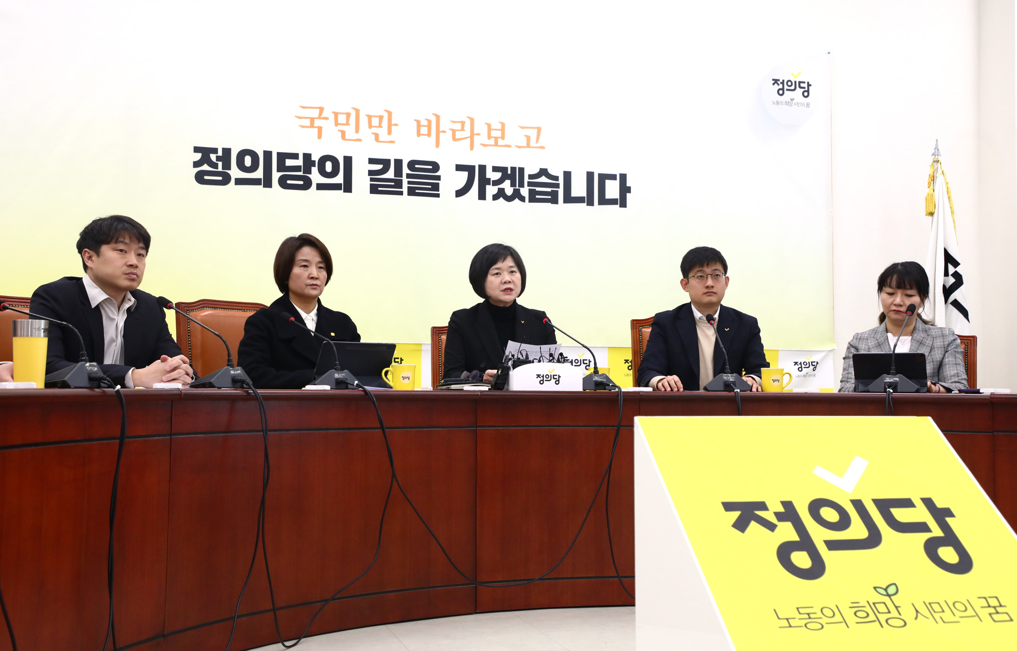 정치;국회;정의당 상무집행위원회;이정미