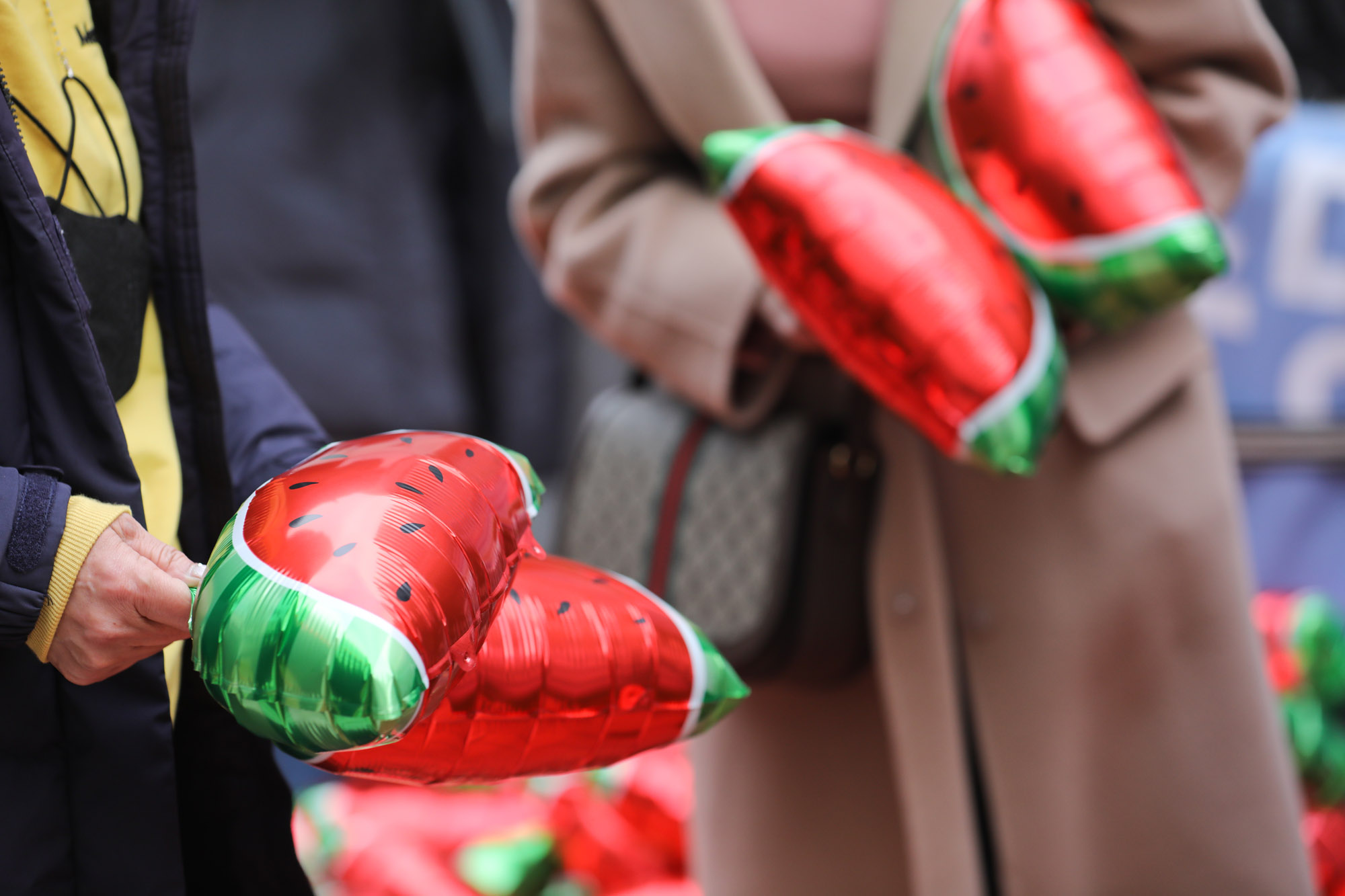 더불어민주당;수박의원;개딸;이재명지지자;수박깨기;수박