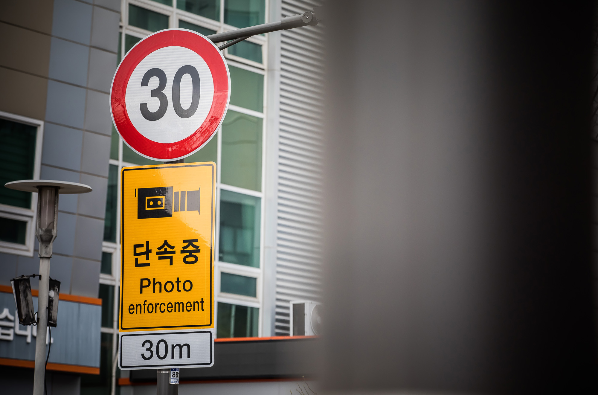 사회;세태;이주의키워드;5030;안전속도5030;어린이보호구역속도제한;교통표지판