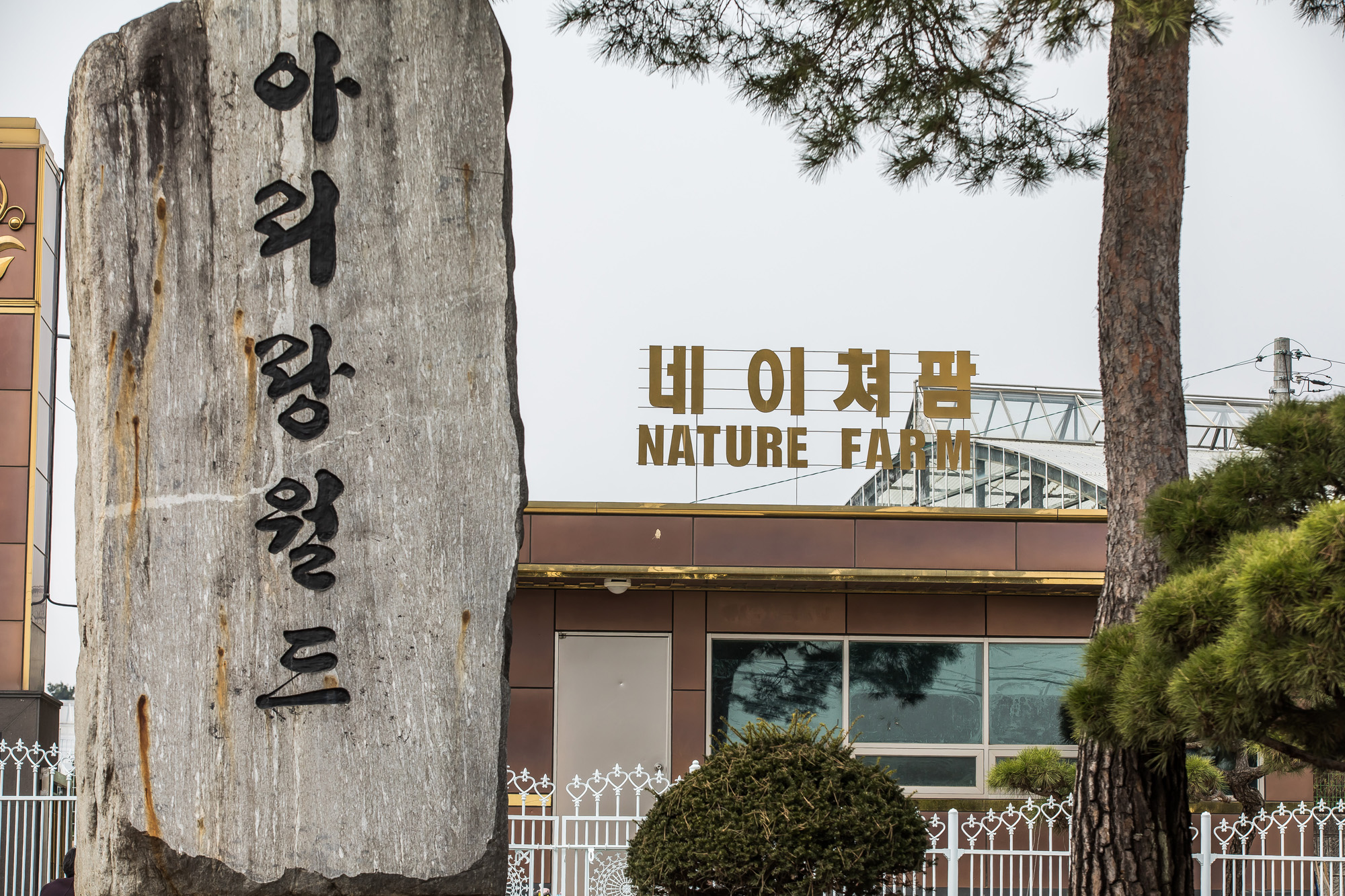 사회;사건사고;아가동산;나는신이다;김기순;협업마을형신흥종교;범죄단체;사이비종교;아가야;아가농장;신나라네이처팜;신나라네이쳐팜;신나라레코드;아가동산김기순