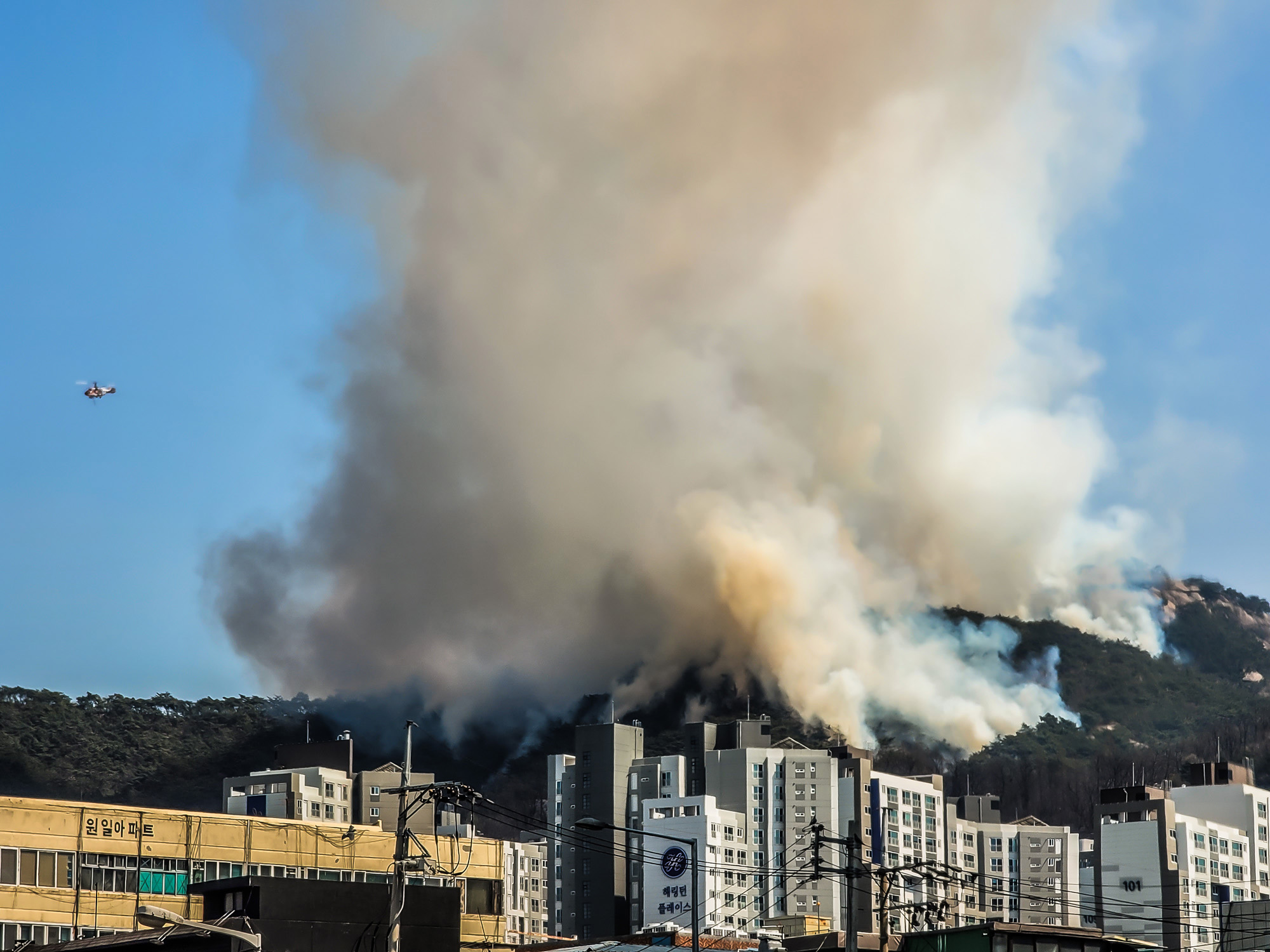 사회;사건사고;산불;화재;인왕산화재;인왕산산불;봄철산불