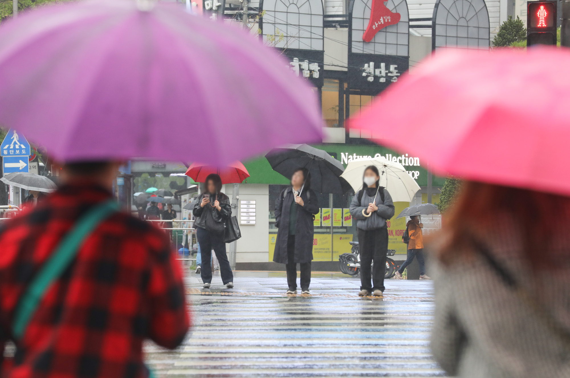 봄비;비;출근길비;가뭄
