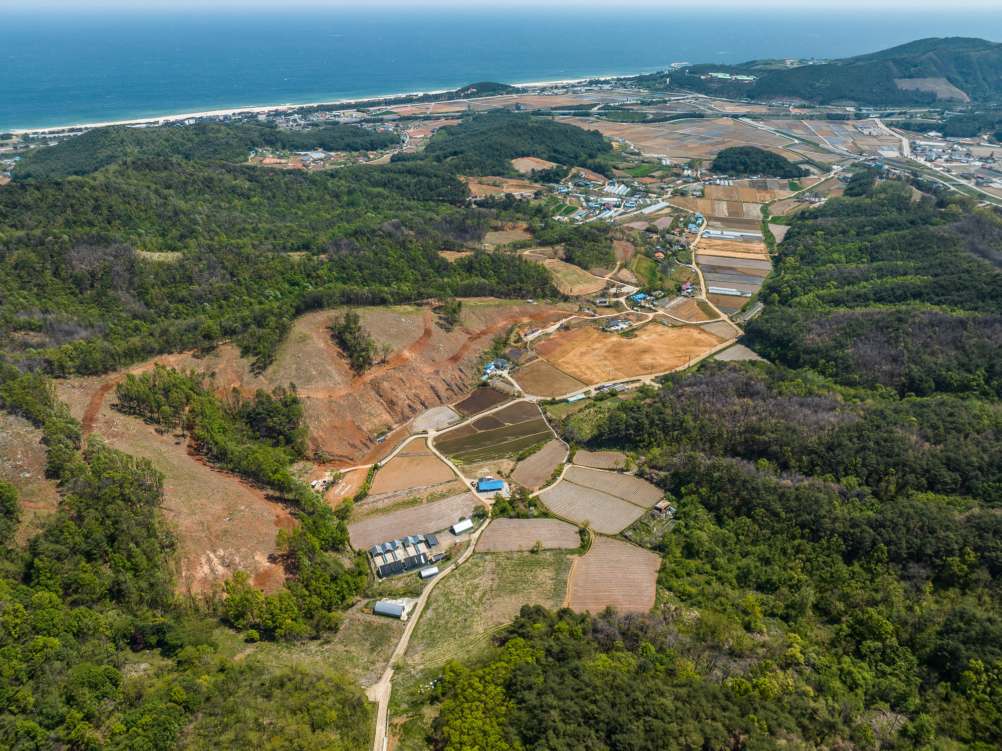 사회;사건사고;건축왕;남헌기;전세사기;망상지구;동해안권경제자유구역;망상국제복합관광도시