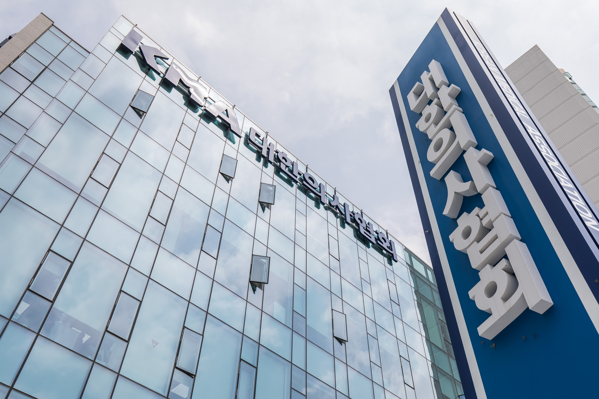 사회;의료;간호법;의료법;간호법제정안통과반대;대한의사협회;이필수;보건의료단체