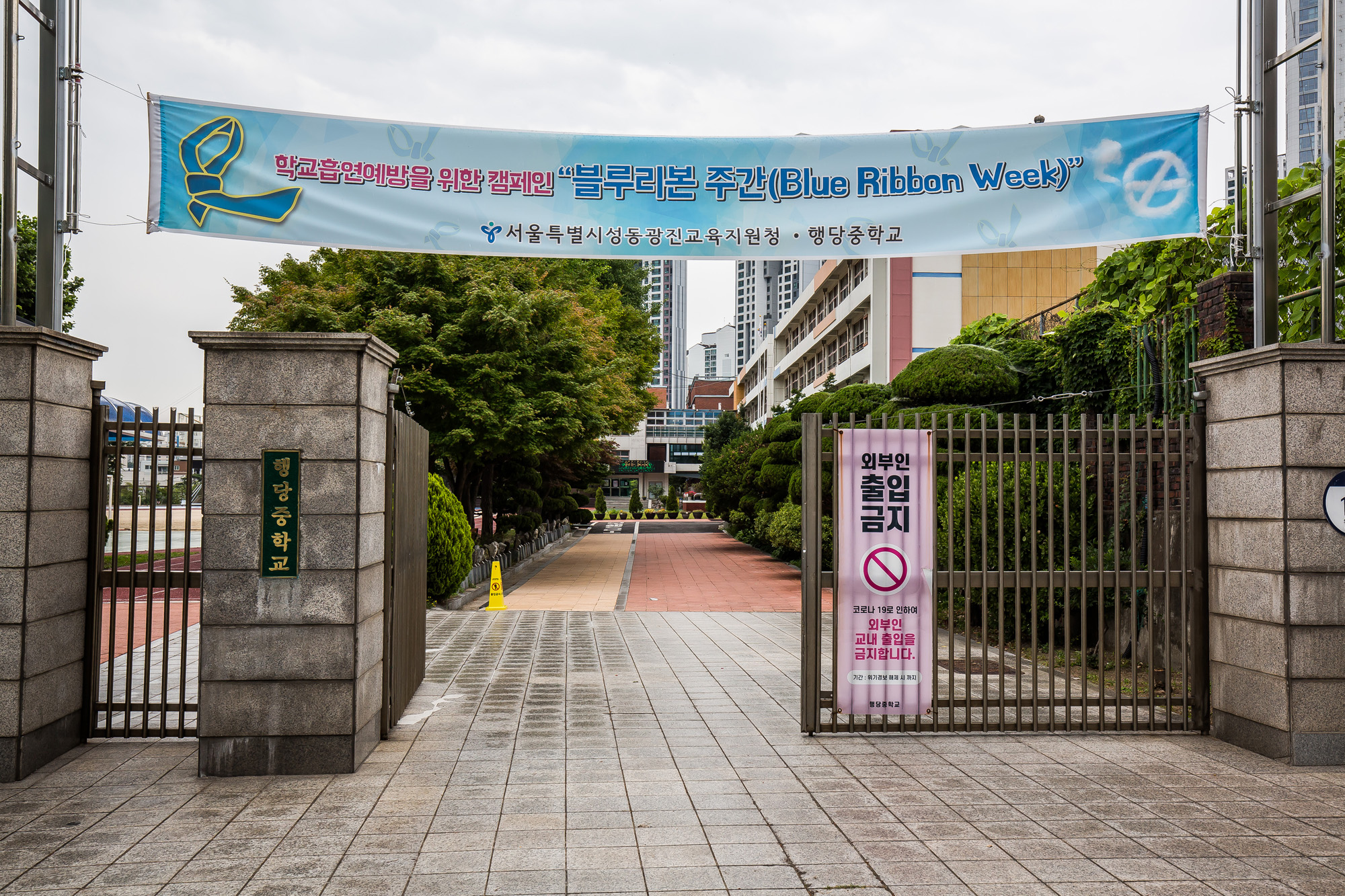 사회;세태;인구절벽;인구감소;서울시내중학교폐교;교육;저출산