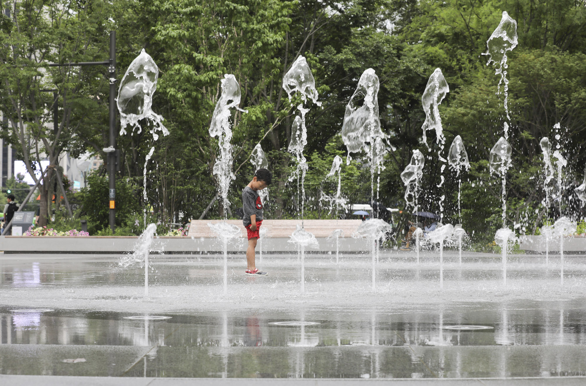 더위;분수;광화문;광화문광장