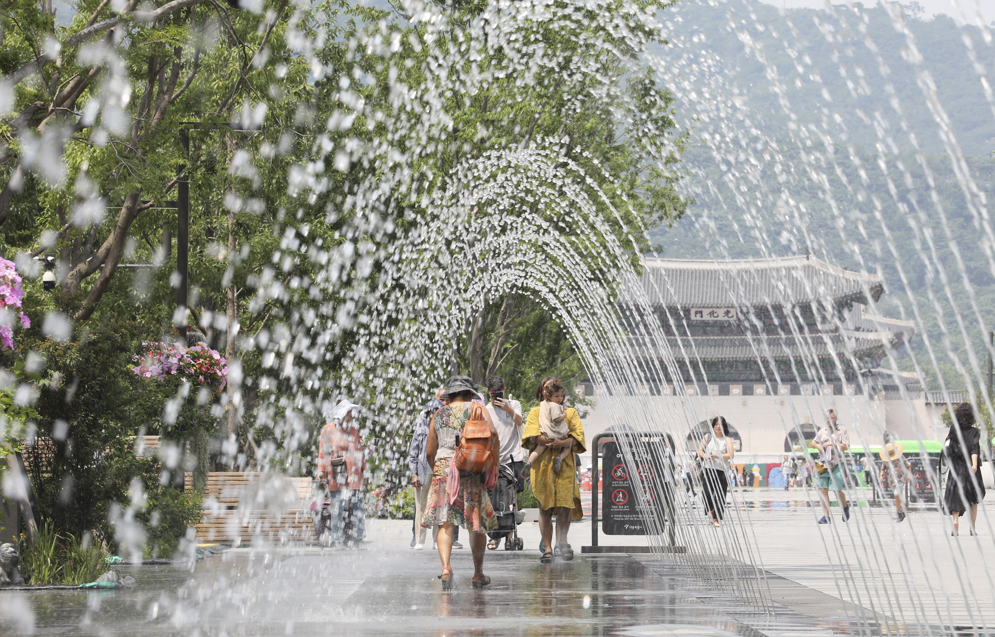 폭염;더위;광화문폭염;날씨