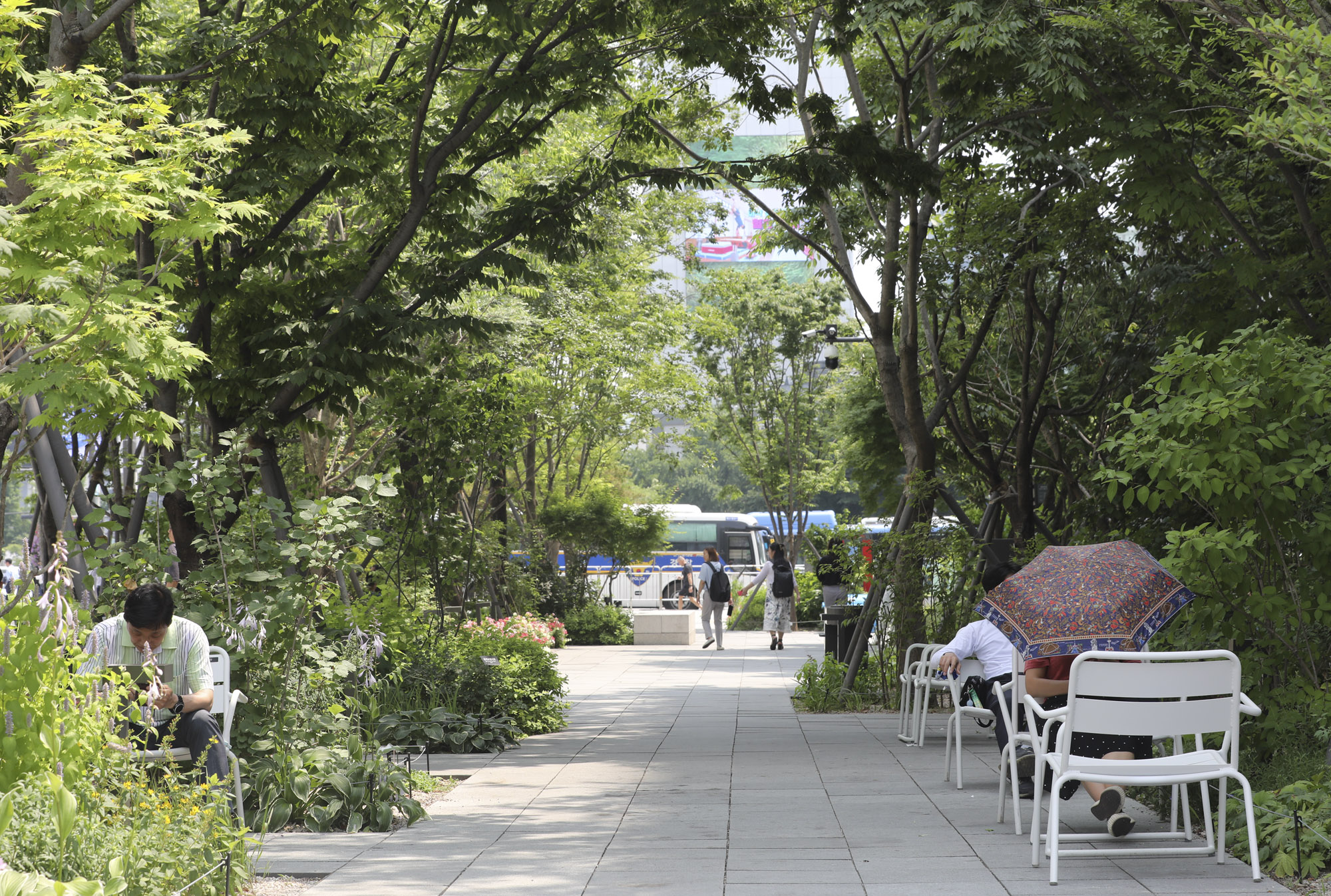 폭염;더위;광화문폭염;날씨