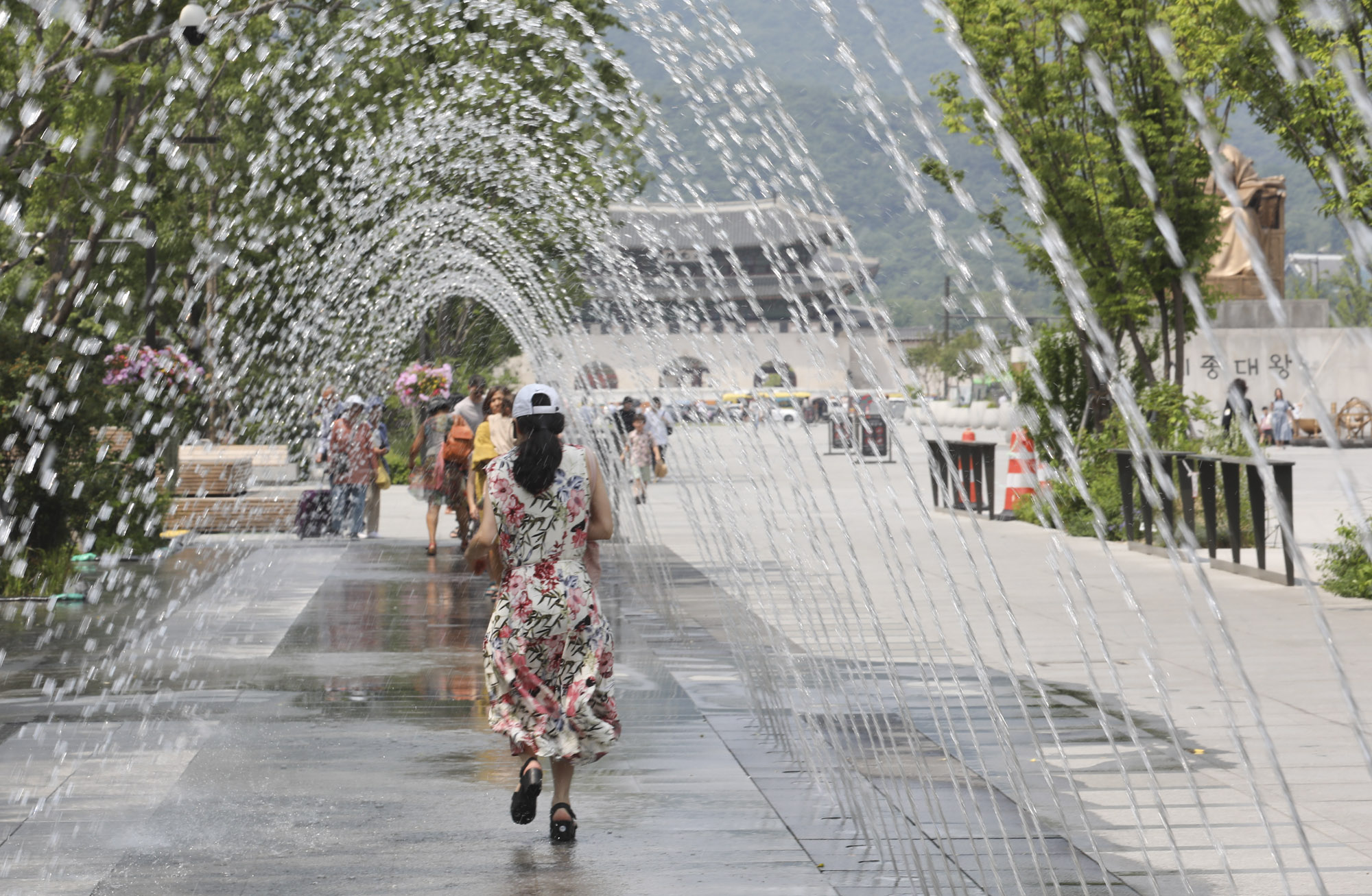 폭염;더위;광화문폭염;날씨