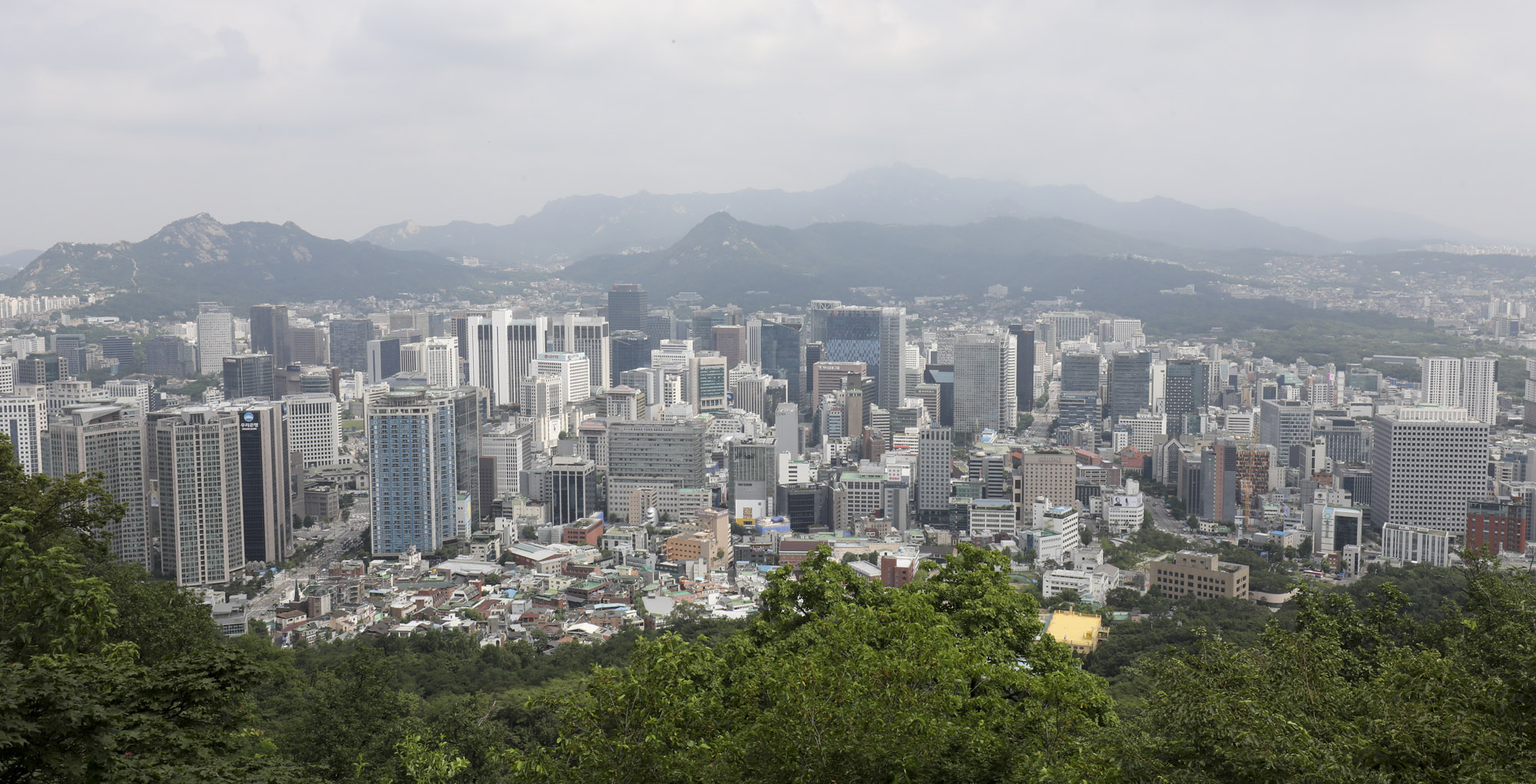 대기업본사;빌딩숲;종로대기업;빌딩;기업