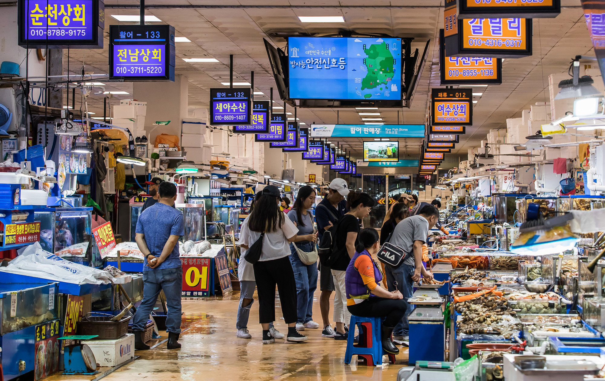 사회;세태;국제;외교;사건사고;후쿠시마오염수방류;국제원자력기구;IAEA;노량진수산시장;해양수산부;해양수산부원전오염수대응홍보영상;후쿠시마방사능해양오염