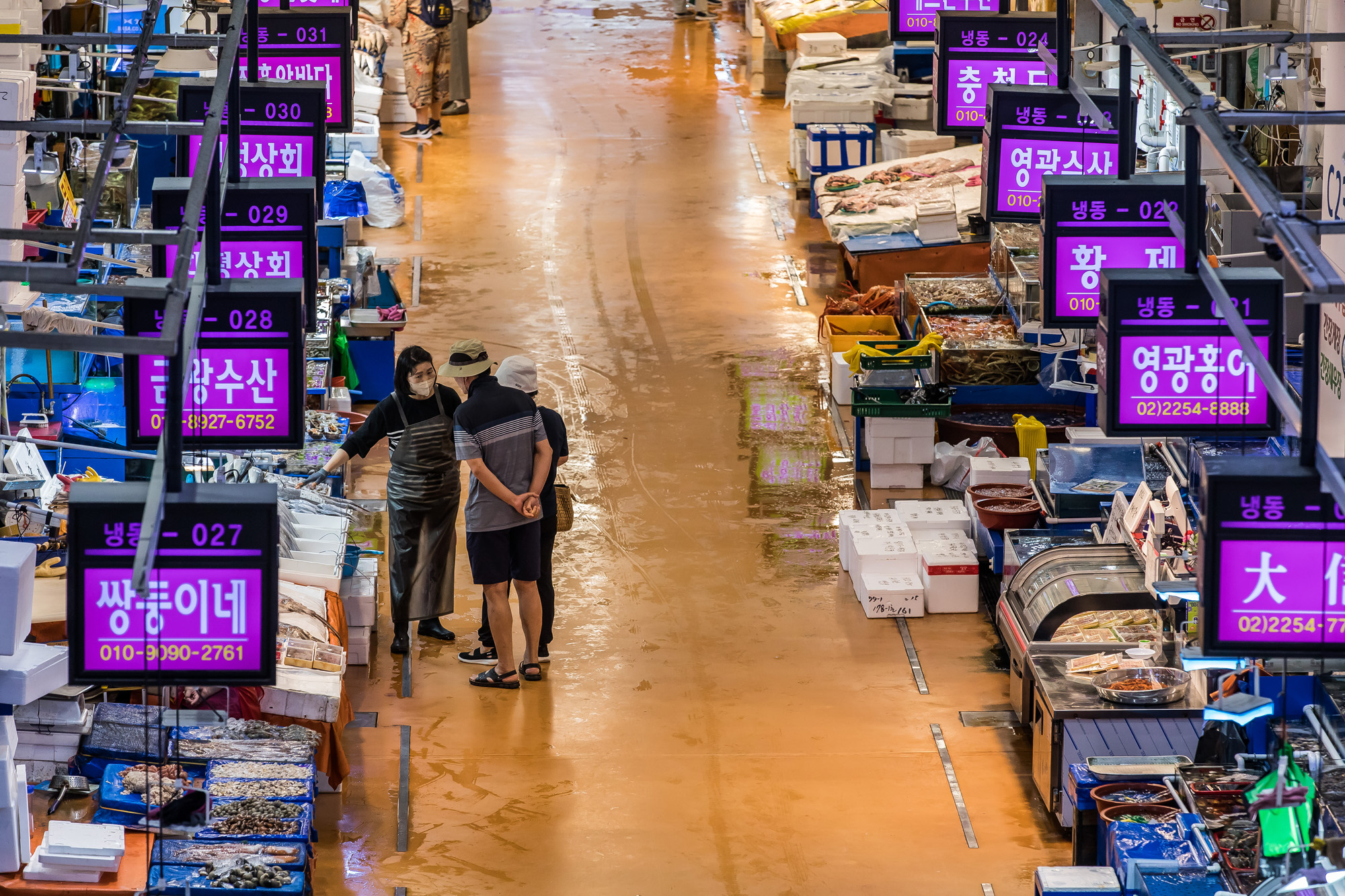 사회;세태;국제;외교;사건사고;후쿠시마오염수방류;국제원자력기구;IAEA;노량진수산시장;해양수산부;해양수산부원전오염수대응홍보영상;후쿠시마방사능해양오염
