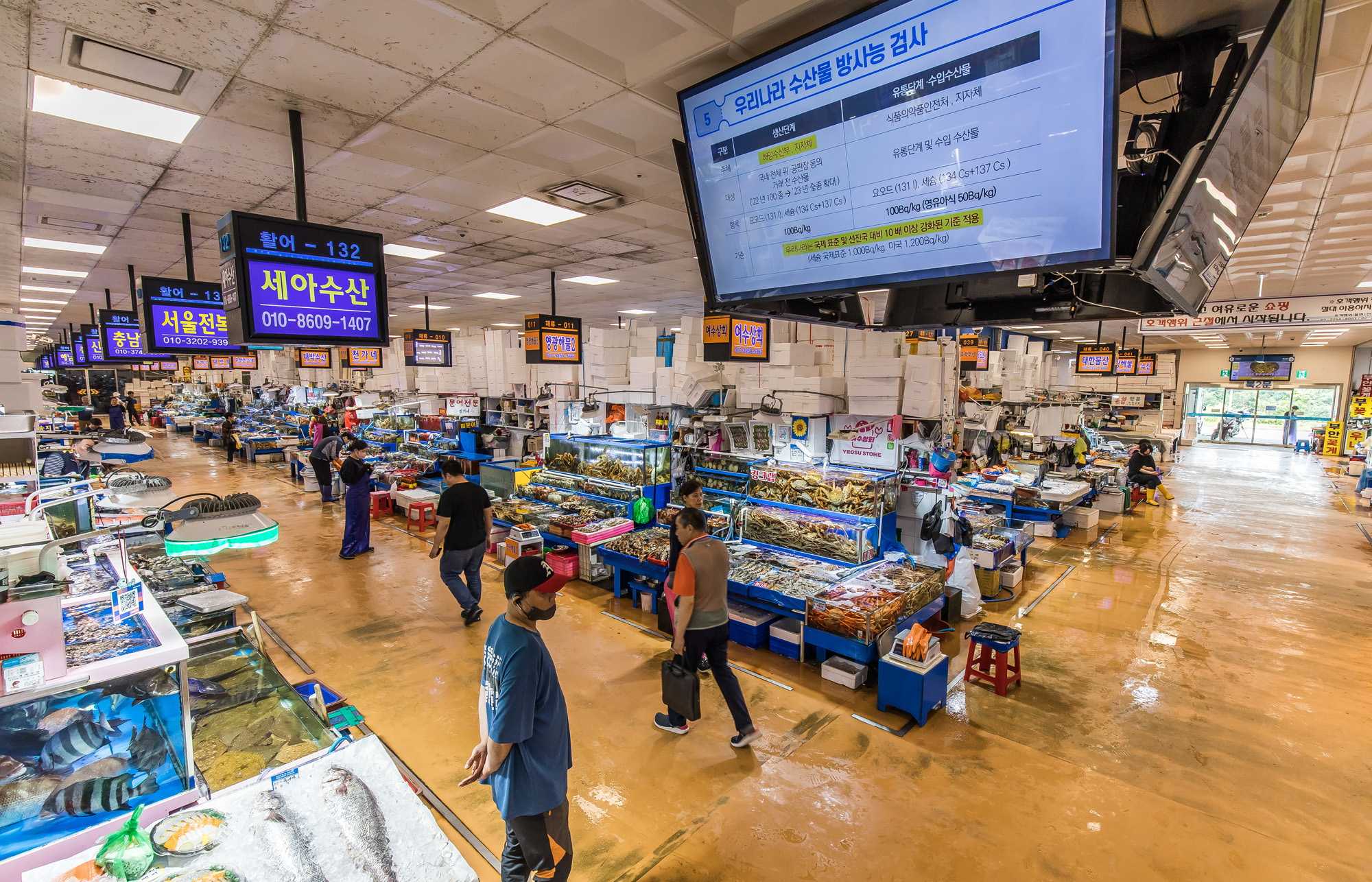 사회;세태;국제;외교;사건사고;후쿠시마오염수방류;국제원자력기구;IAEA;노량진수산시장;해양수산부;해양수산부원전오염수대응홍보영상;후쿠시마방사능해양오염