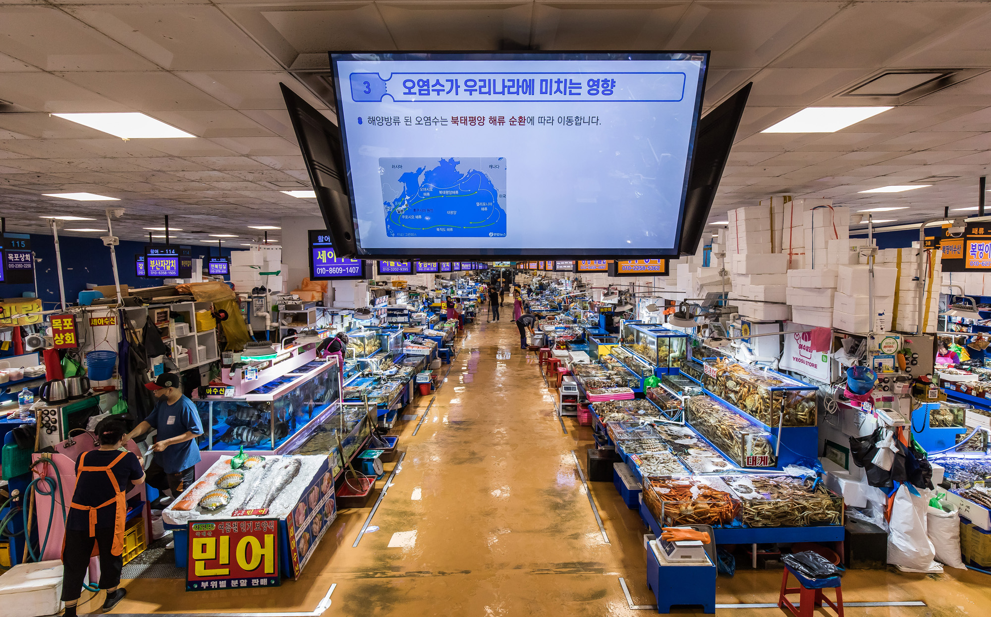 사회;세태;국제;외교;사건사고;후쿠시마오염수방류;국제원자력기구;IAEA;노량진수산시장;해양수산부;해양수산부원전오염수대응홍보영상;후쿠시마방사능해양오염