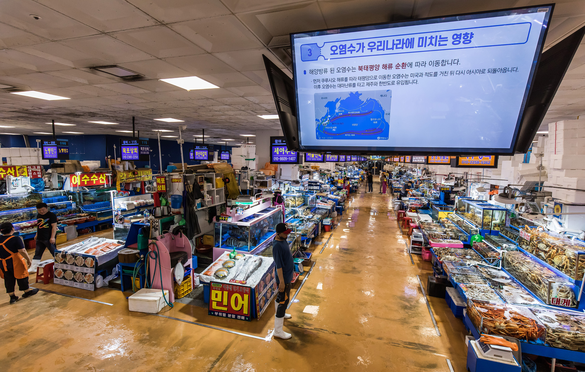 사회;세태;국제;외교;사건사고;후쿠시마오염수방류;국제원자력기구;IAEA;노량진수산시장;해양수산부;해양수산부원전오염수대응홍보영상;후쿠시마방사능해양오염