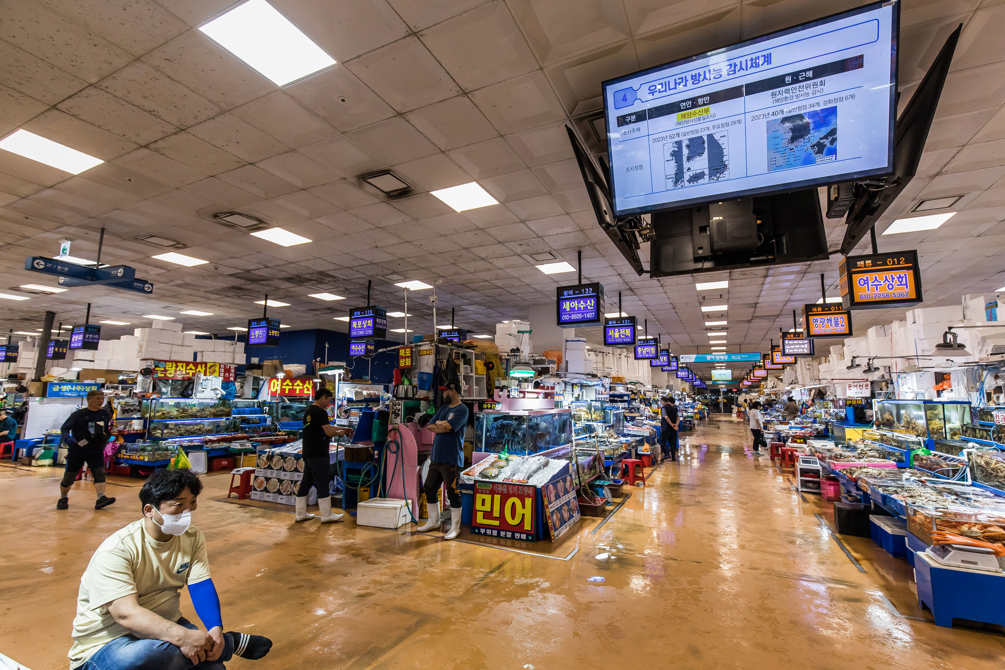 사회;세태;국제;외교;사건사고;후쿠시마오염수방류;국제원자력기구;IAEA;노량진수산시장;해양수산부;해양수산부원전오염수대응홍보영상;후쿠시마방사능해양오염