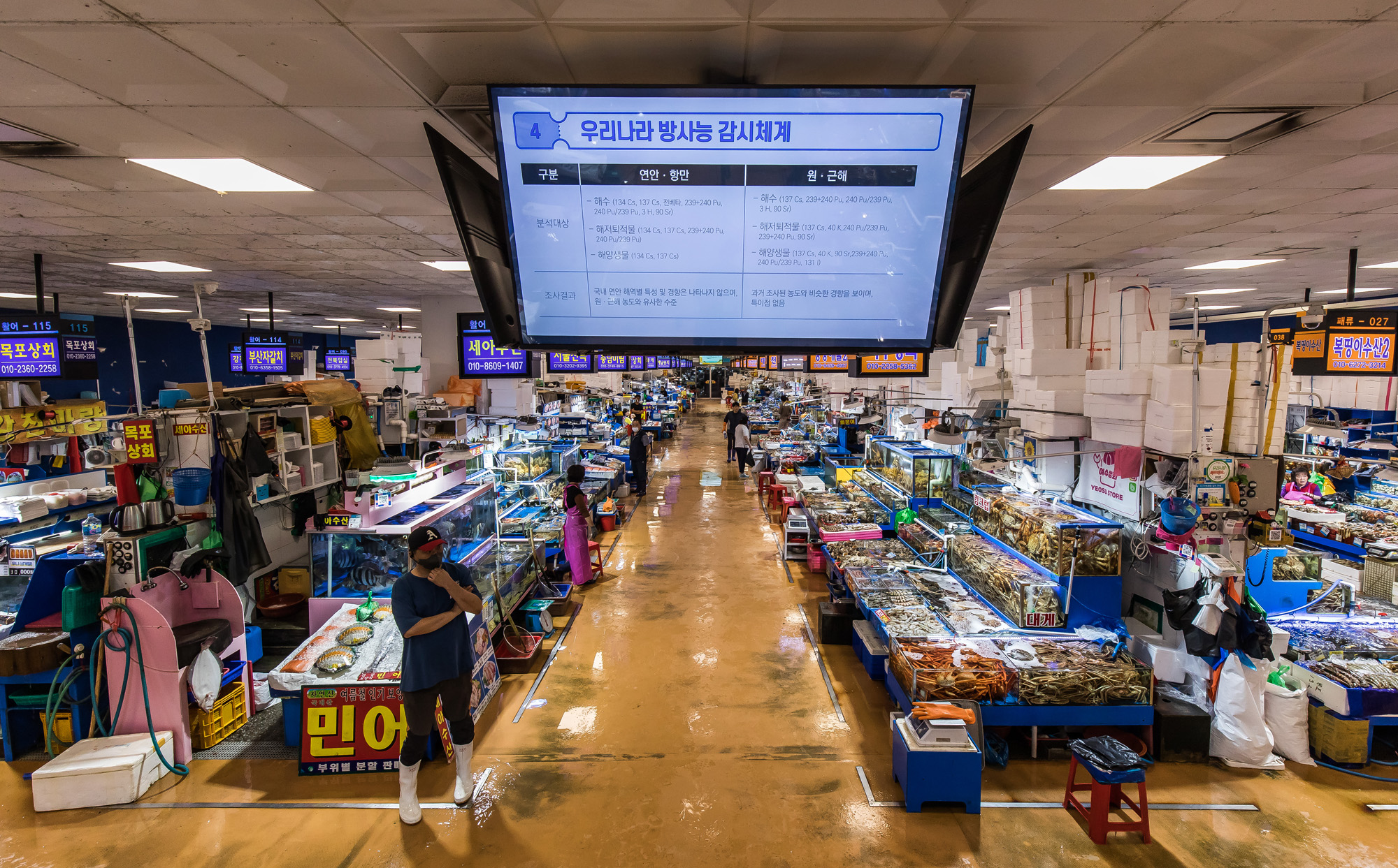 사회;세태;국제;외교;사건사고;후쿠시마오염수방류;국제원자력기구;IAEA;노량진수산시장;해양수산부;해양수산부원전오염수대응홍보영상;후쿠시마방사능해양오염