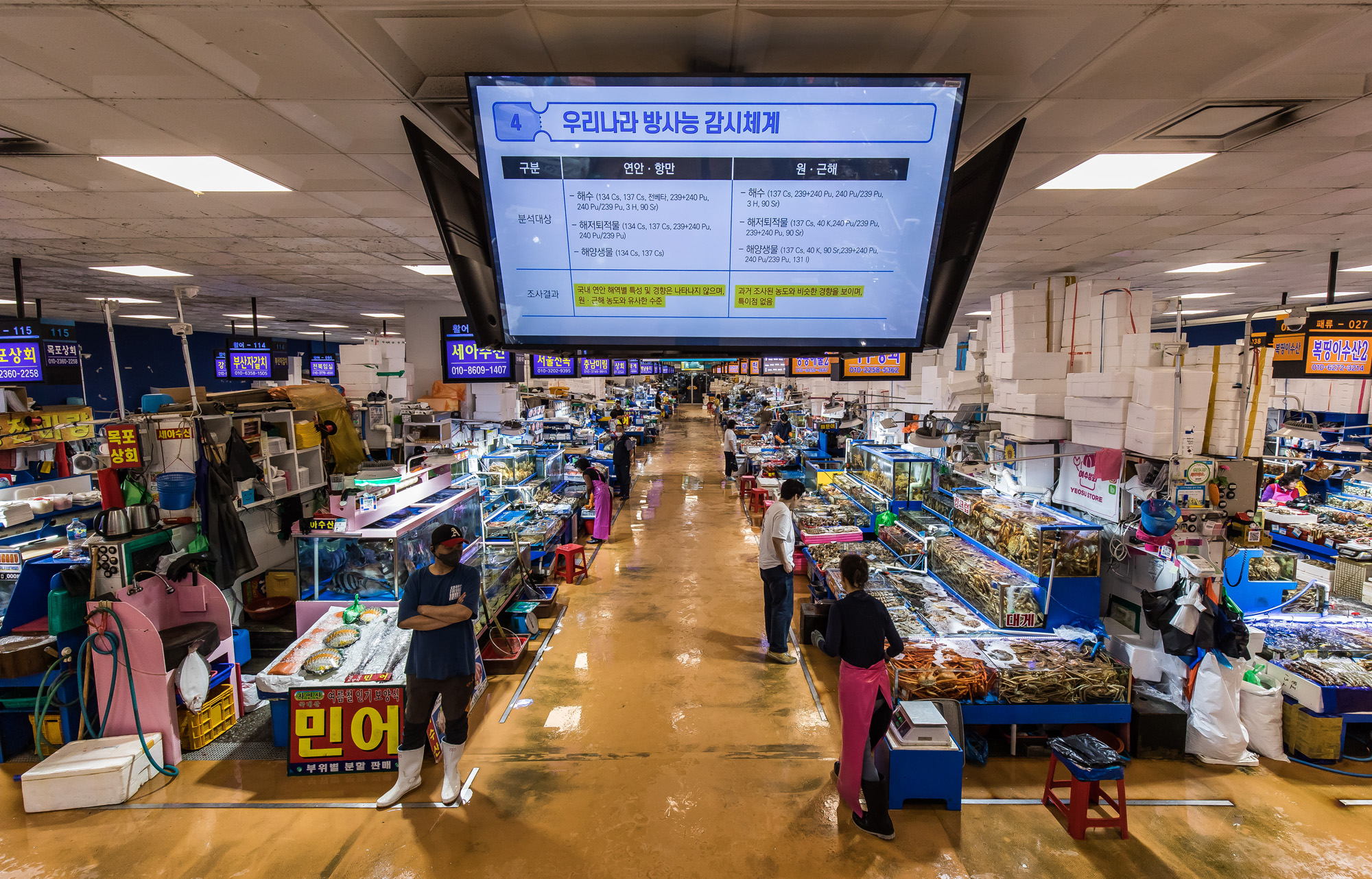 사회;세태;국제;외교;사건사고;후쿠시마오염수방류;국제원자력기구;IAEA;노량진수산시장;해양수산부;해양수산부원전오염수대응홍보영상;후쿠시마방사능해양오염