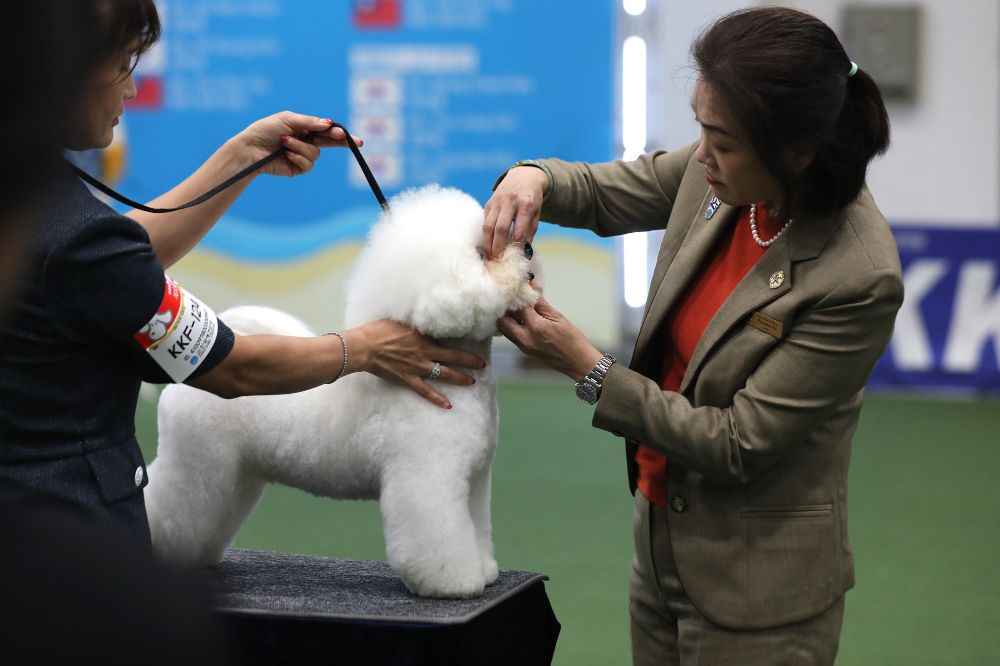 사회;서울FCI국제도그쇼;도그쇼;AT센터도그쇼