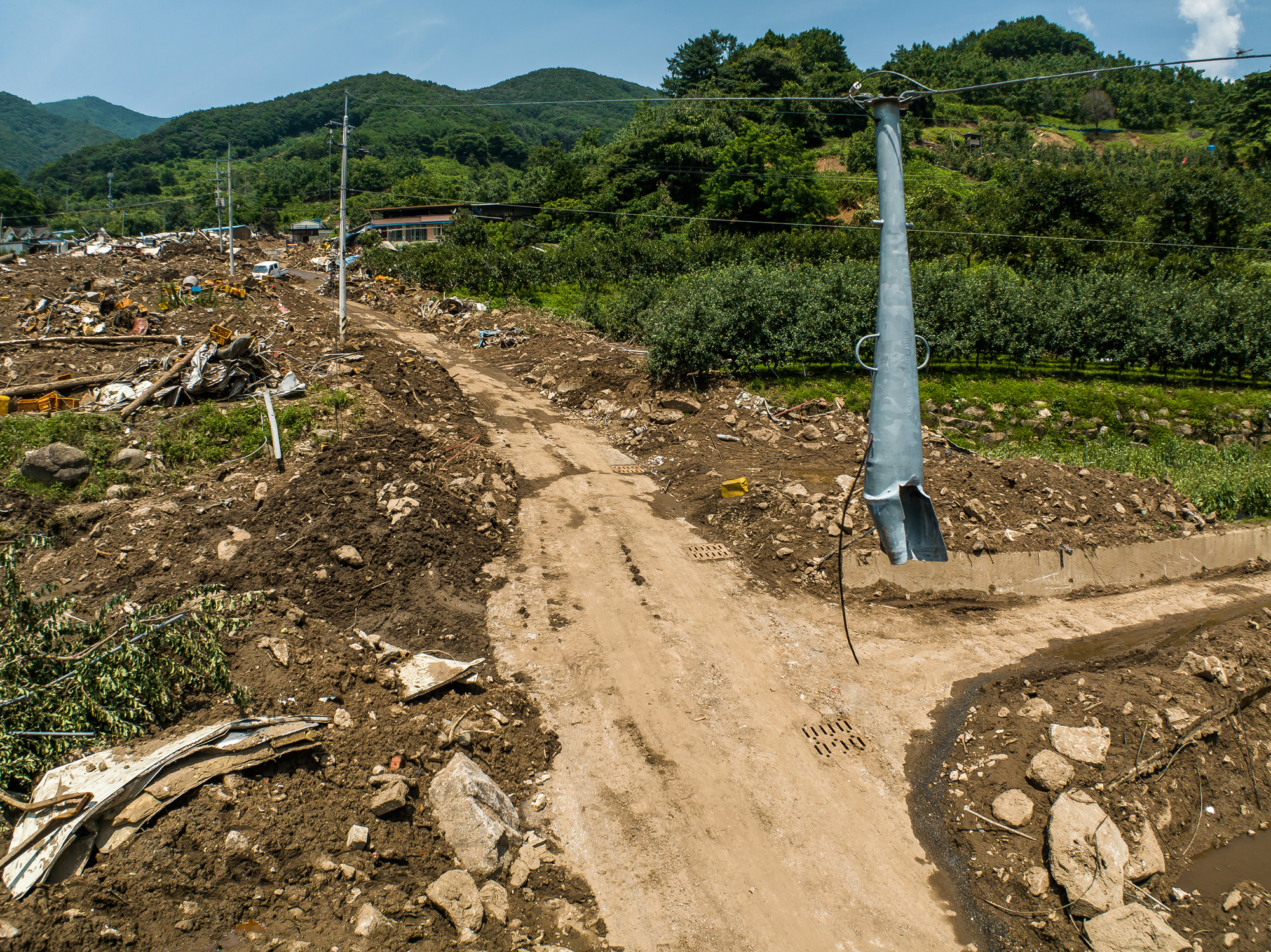 사회;사건사고;천재지변;산사태;폭우;장마;산사태피해스케치;경북예천군효자면산사태;예천군산사태;효자면산사태;인명사고