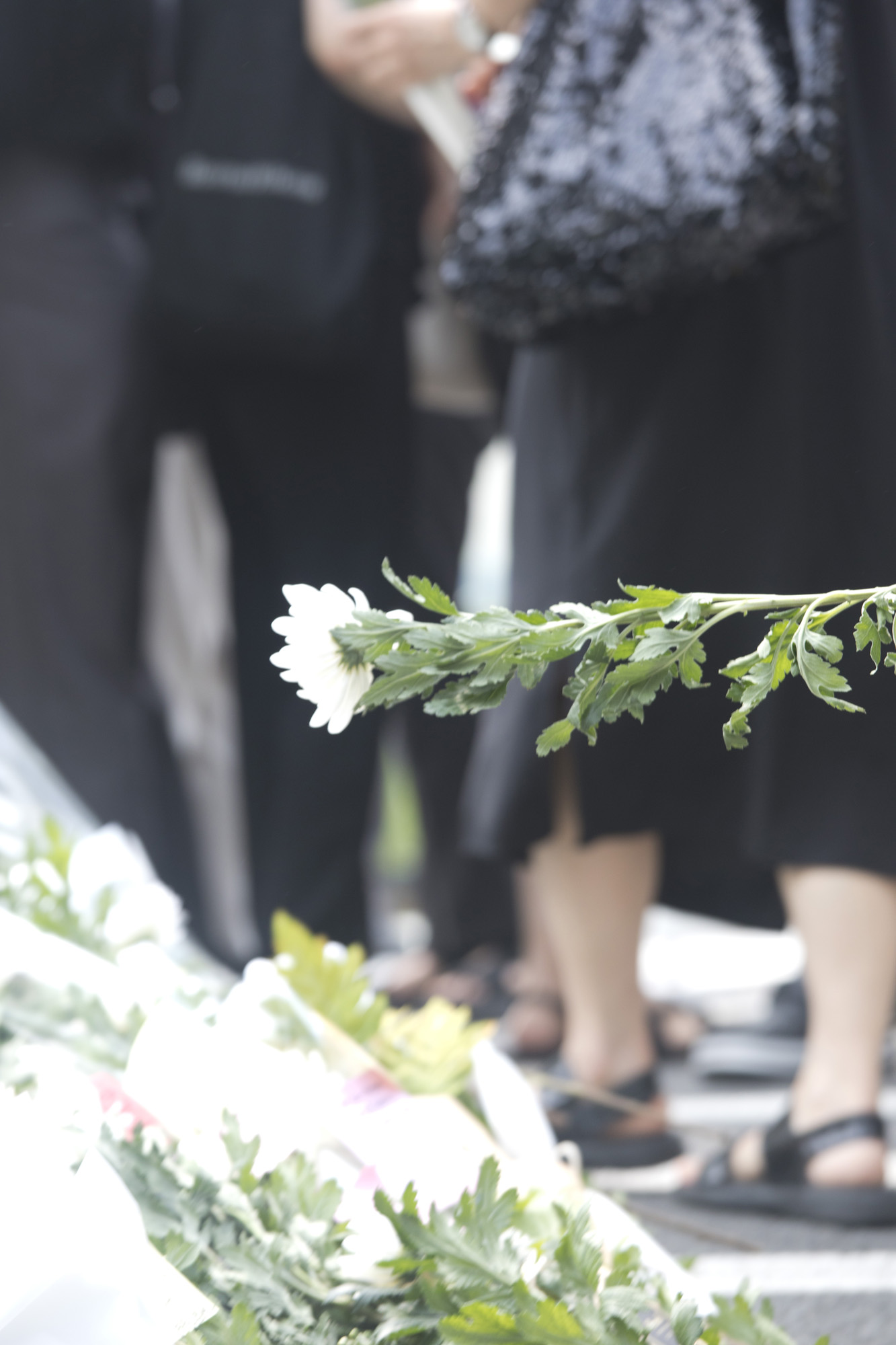 사화;세태;교육;추모