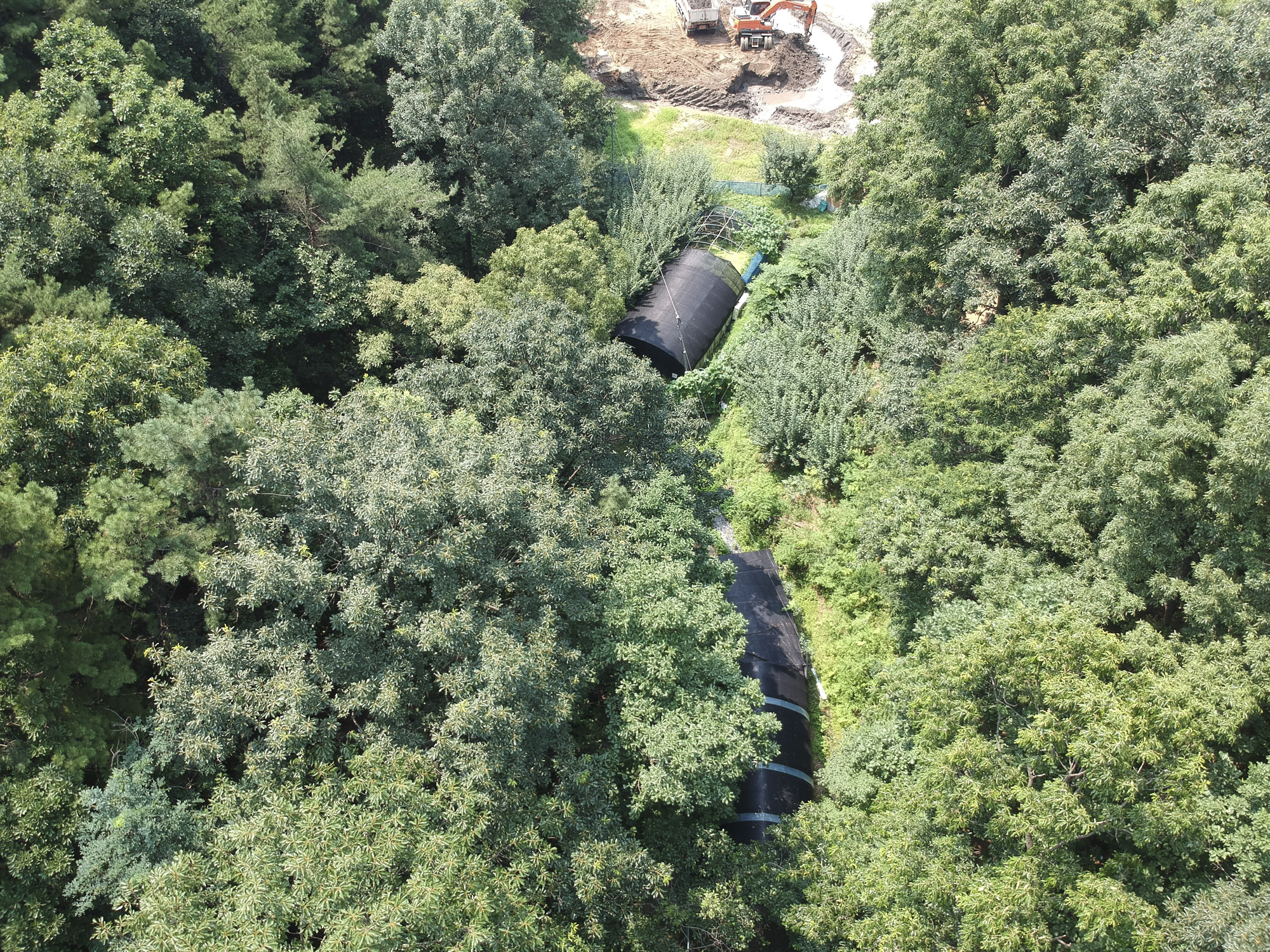 전두환땅;전효선땅;전두환재산;전두환딸재산;안양전두환;안양전효선
