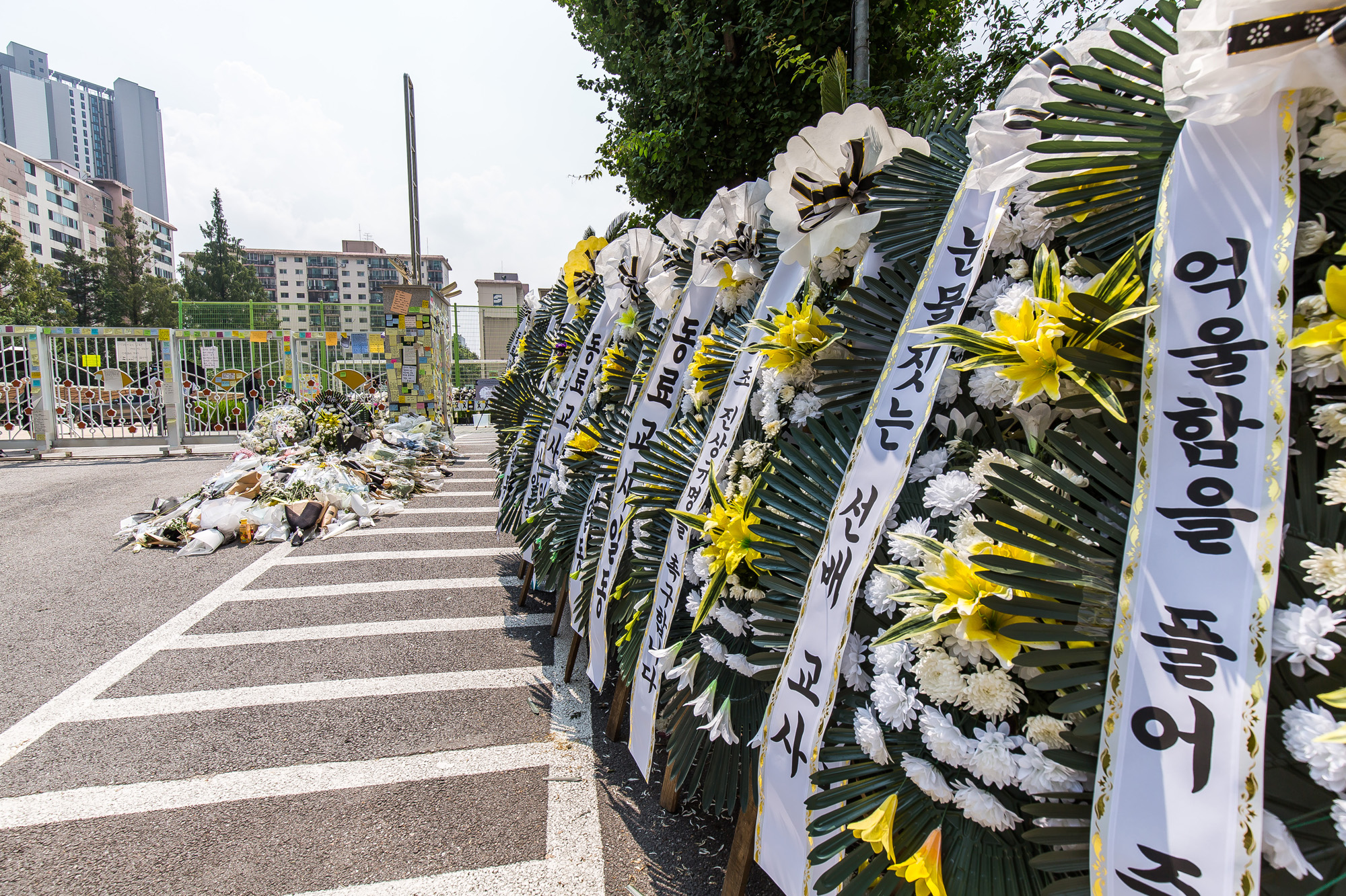 사회;사건사고;사망사고;자살사고;자살사건;초등학교교사;교사사망사건;서울서이초등학교;초등학교담임교사사망;서이초등학교추모공간