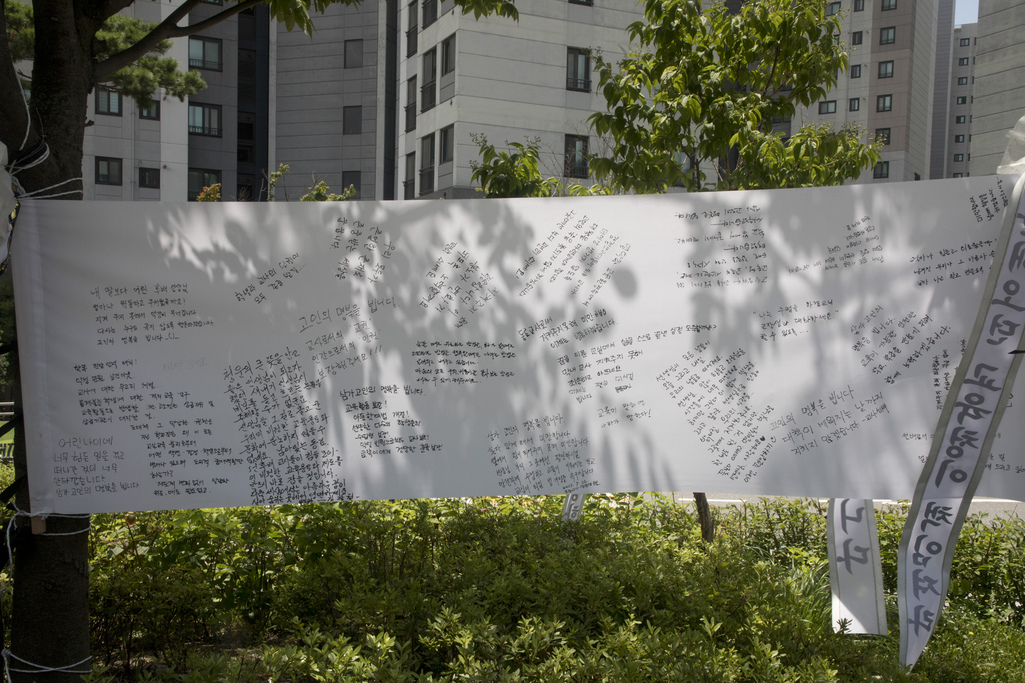 사화;세태;교권;서울교육청;서이초교사;추모;빈소;화환